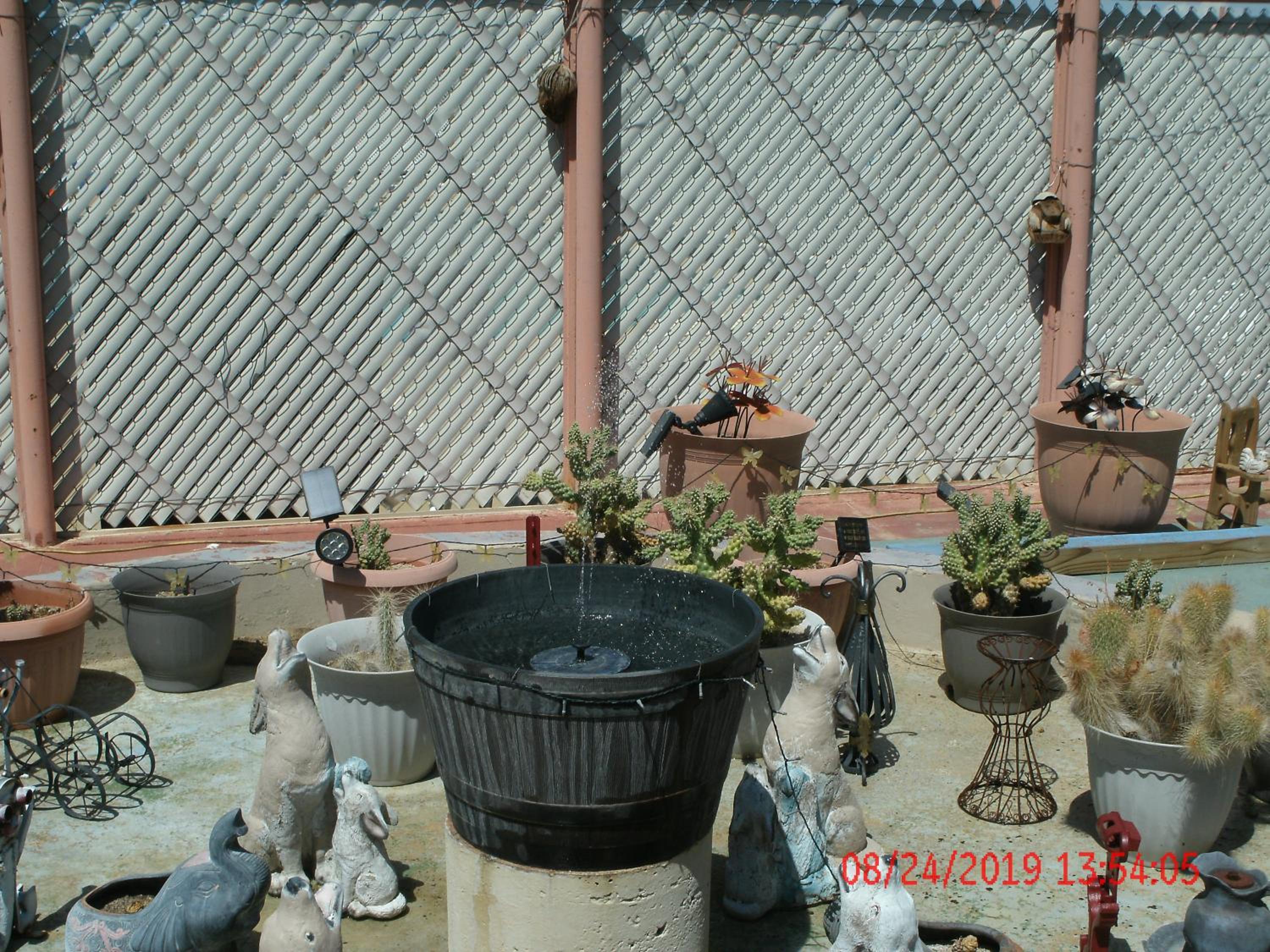 Photo 24