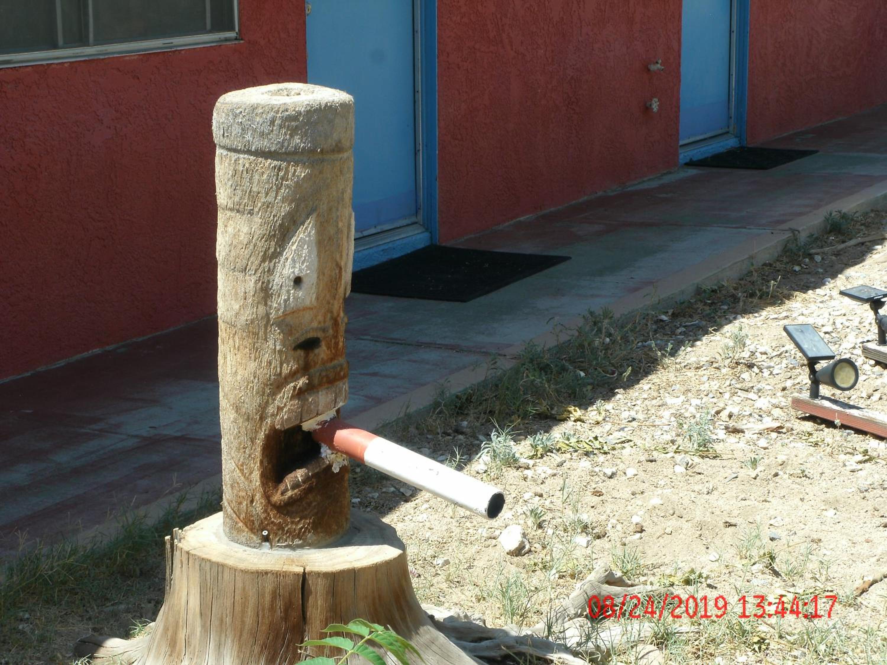 Photo 19