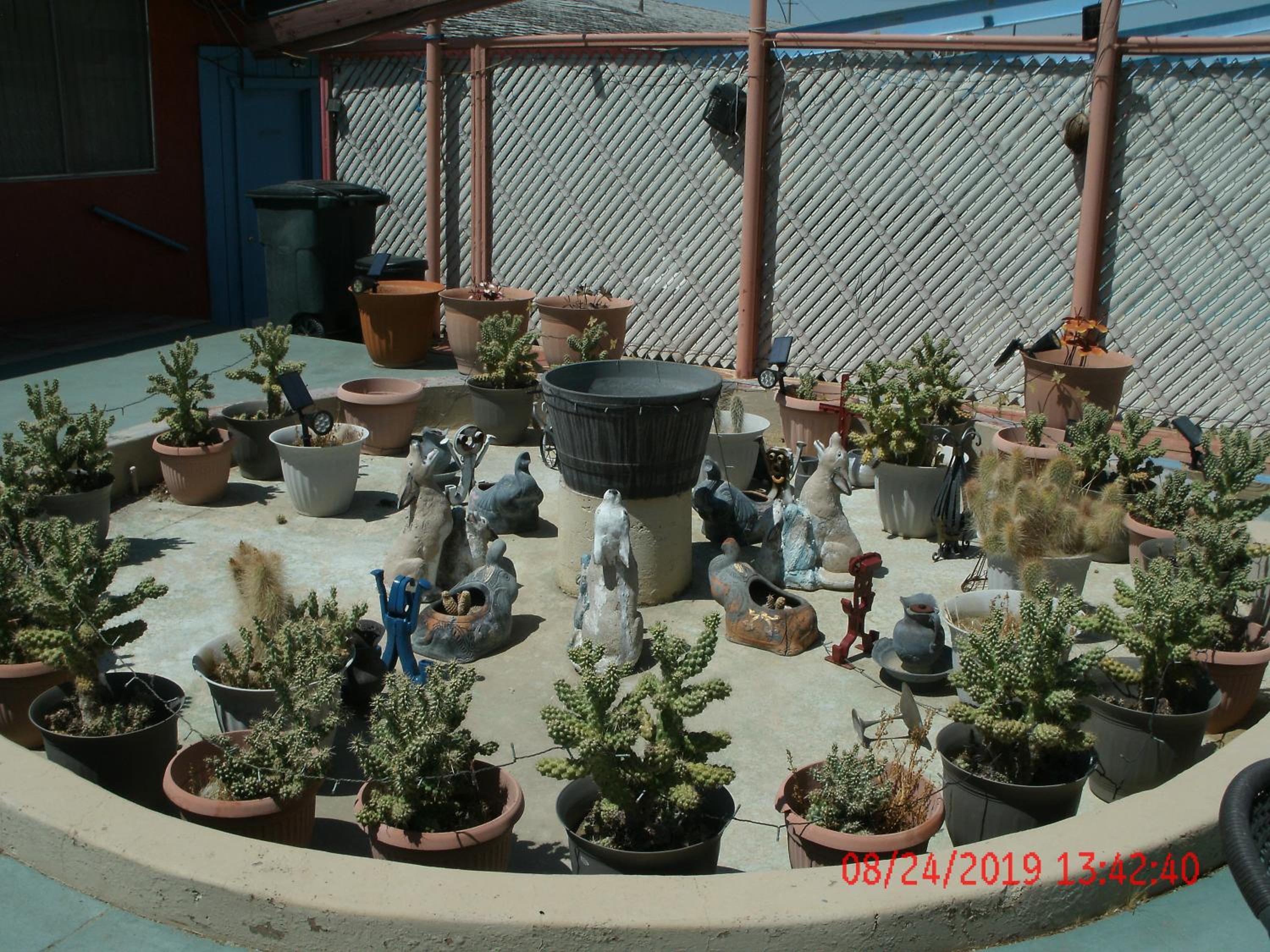 Photo 23