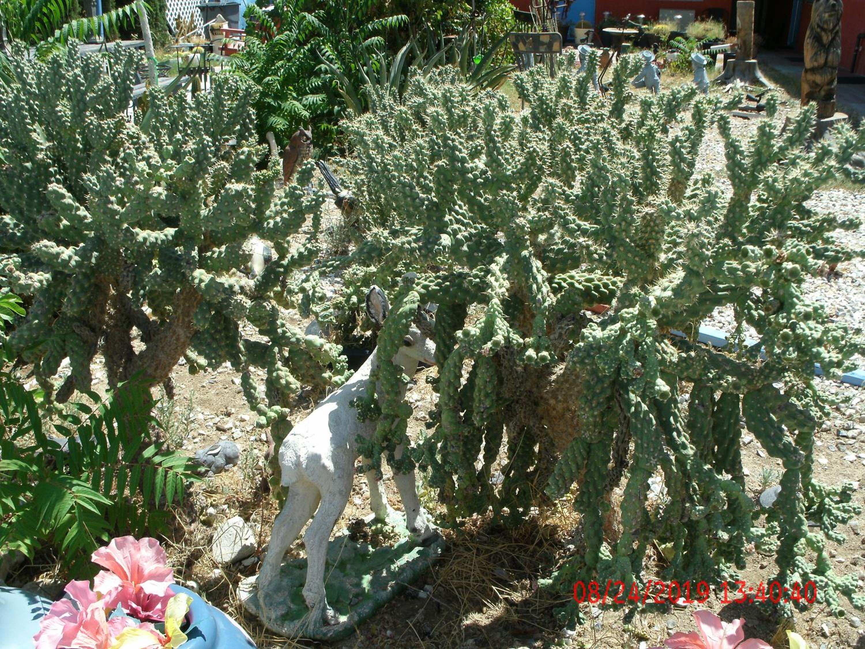 Photo 27