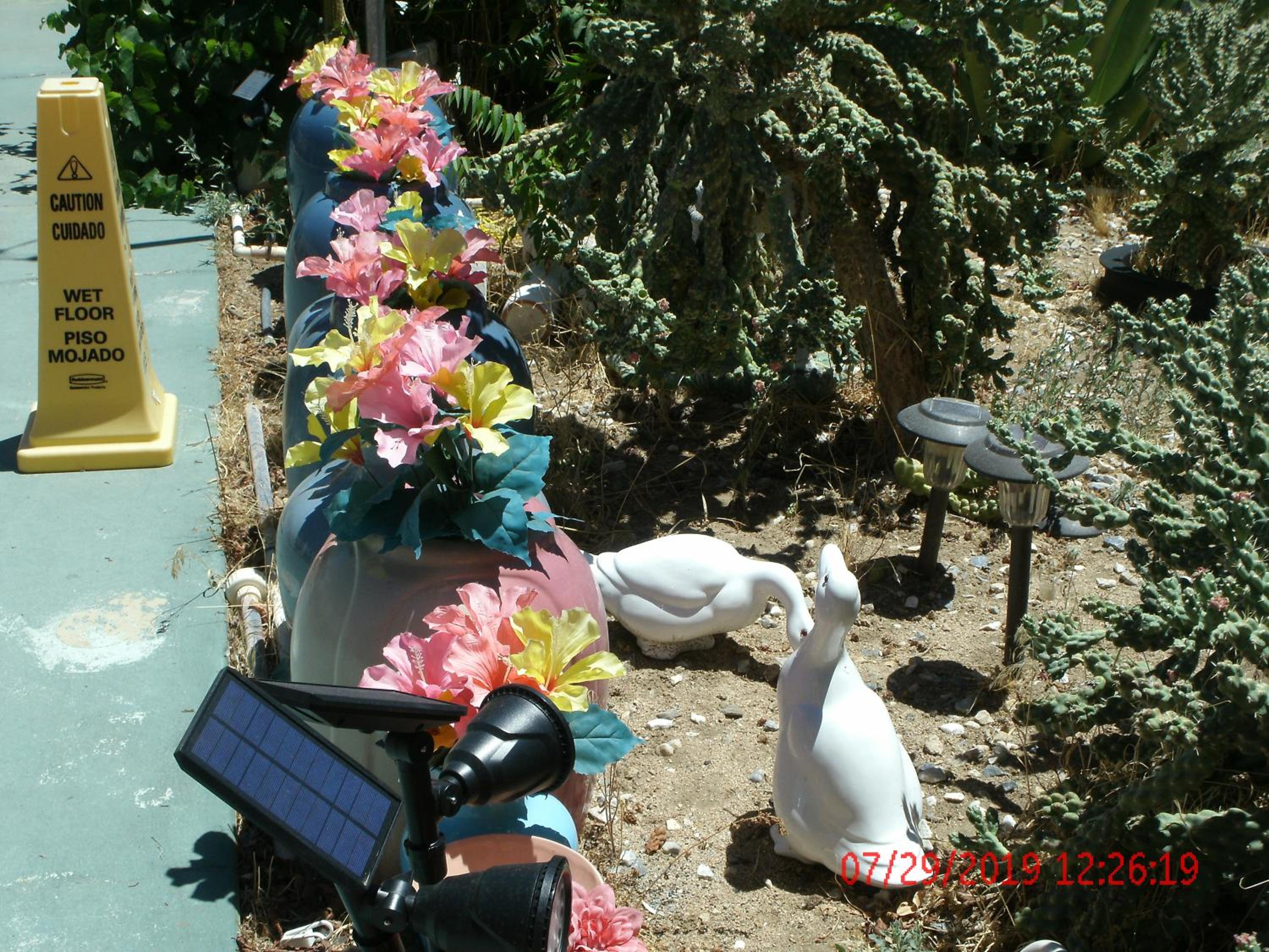 Photo 37