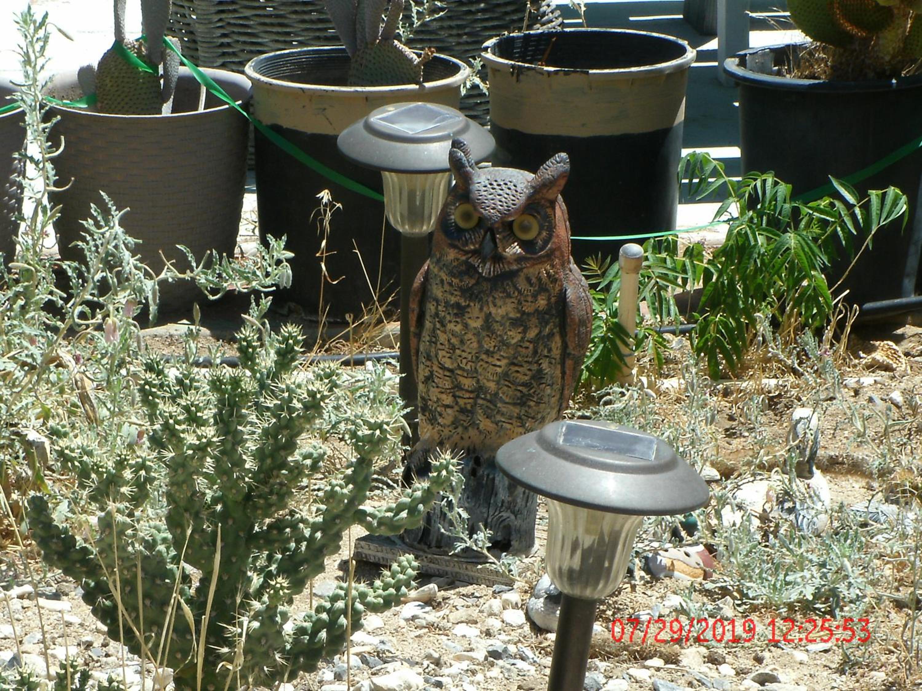 Photo 35