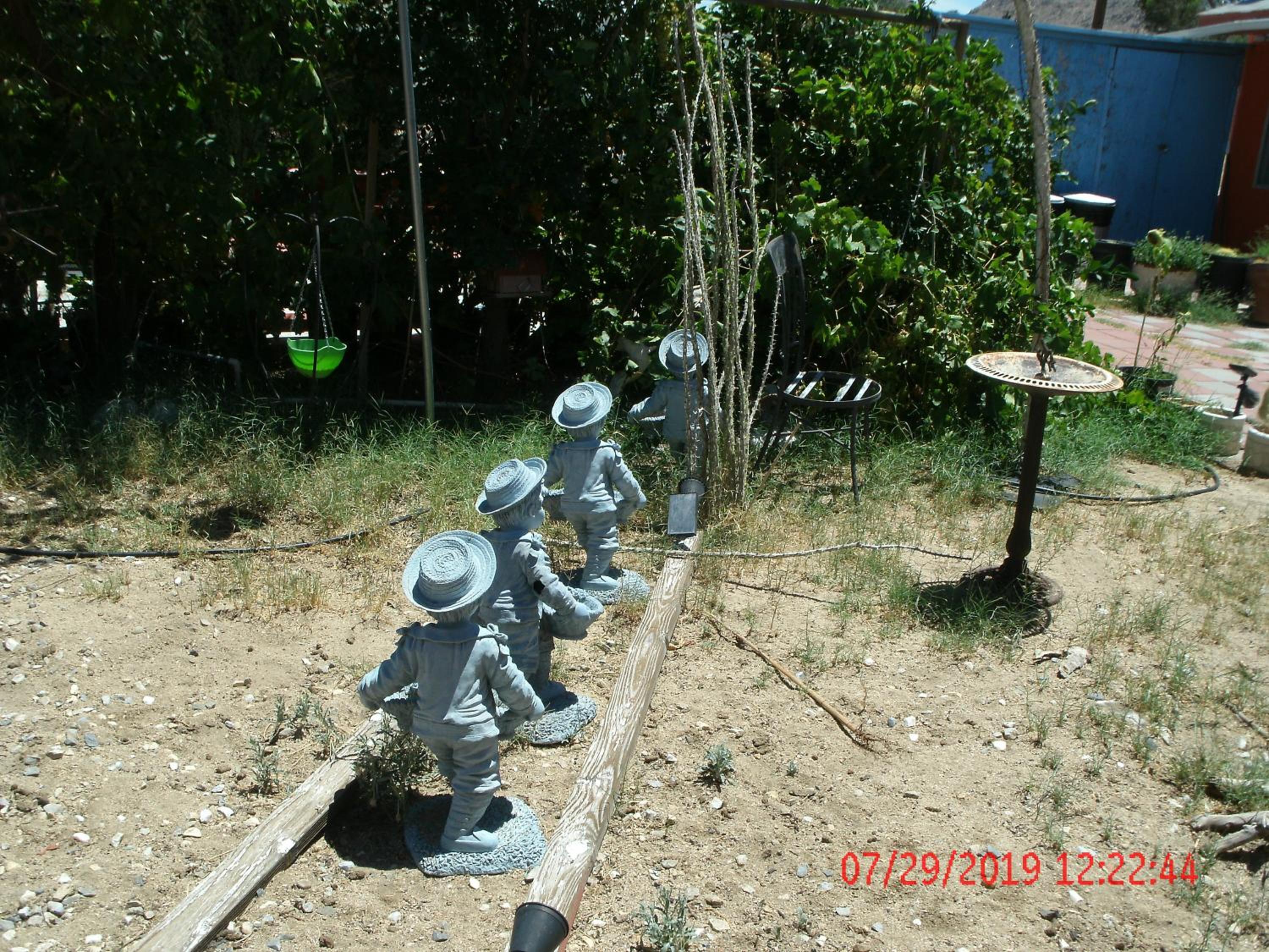 Photo 42