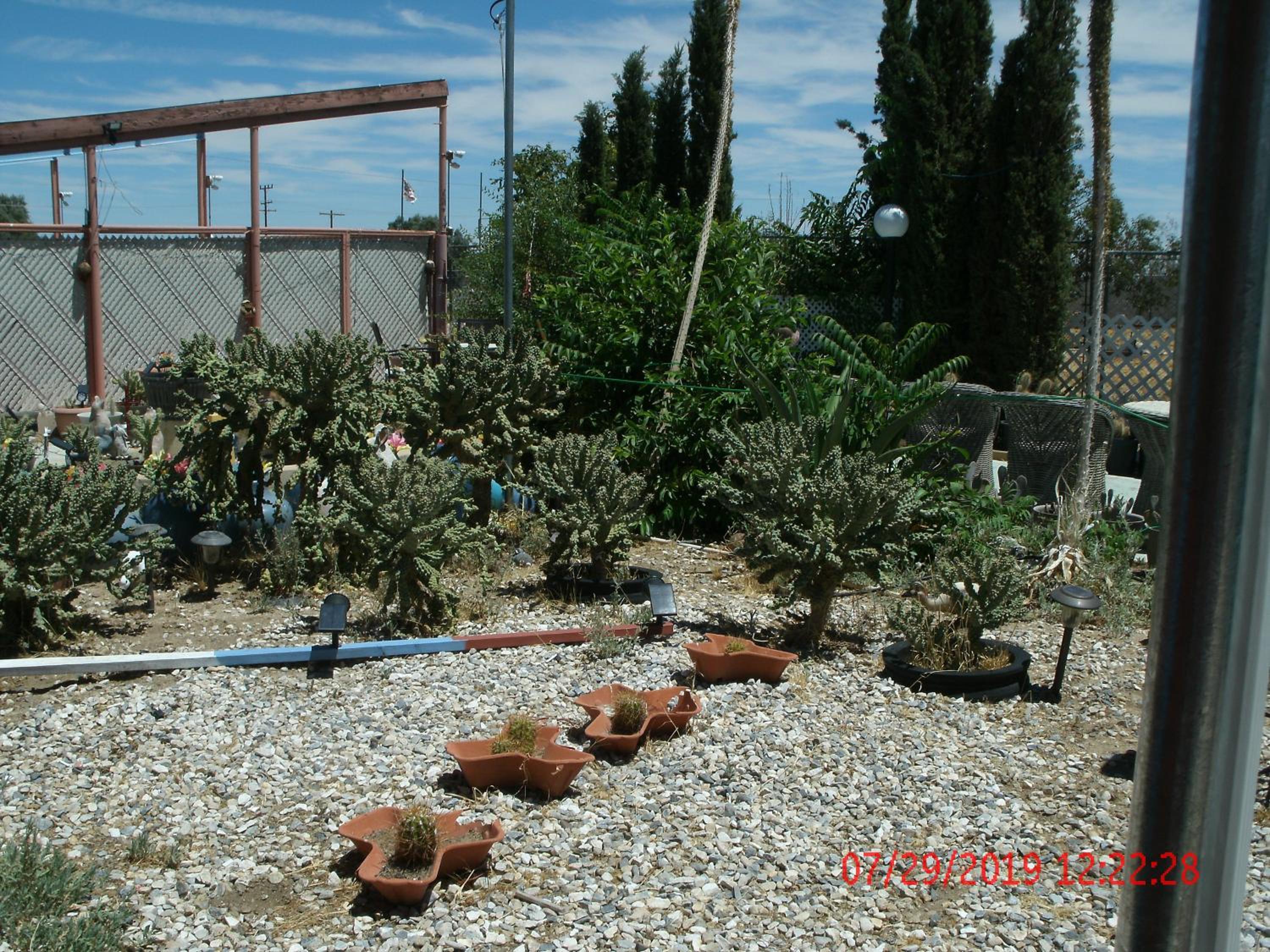 Photo 43