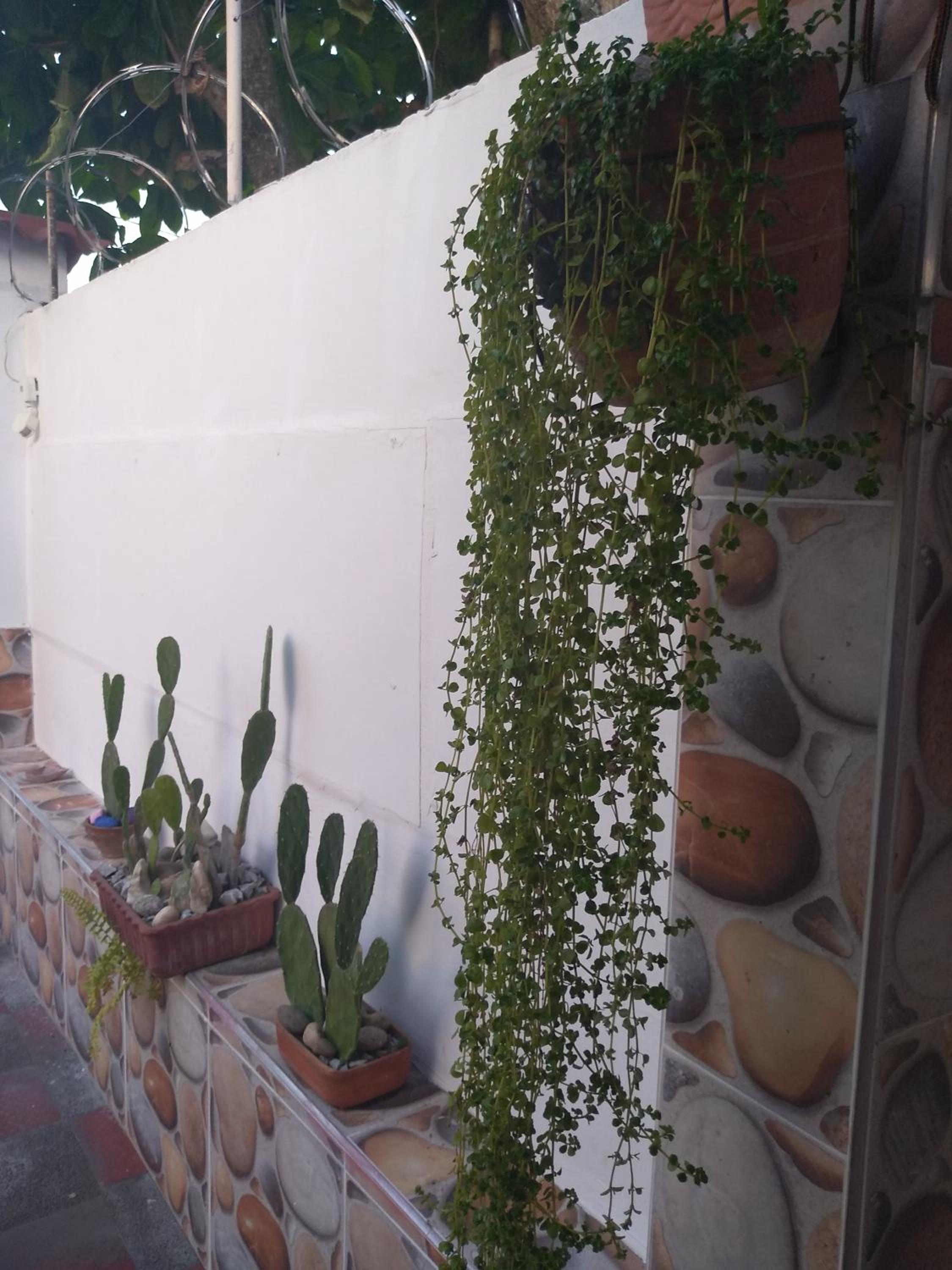Habitación Casa Las Aves