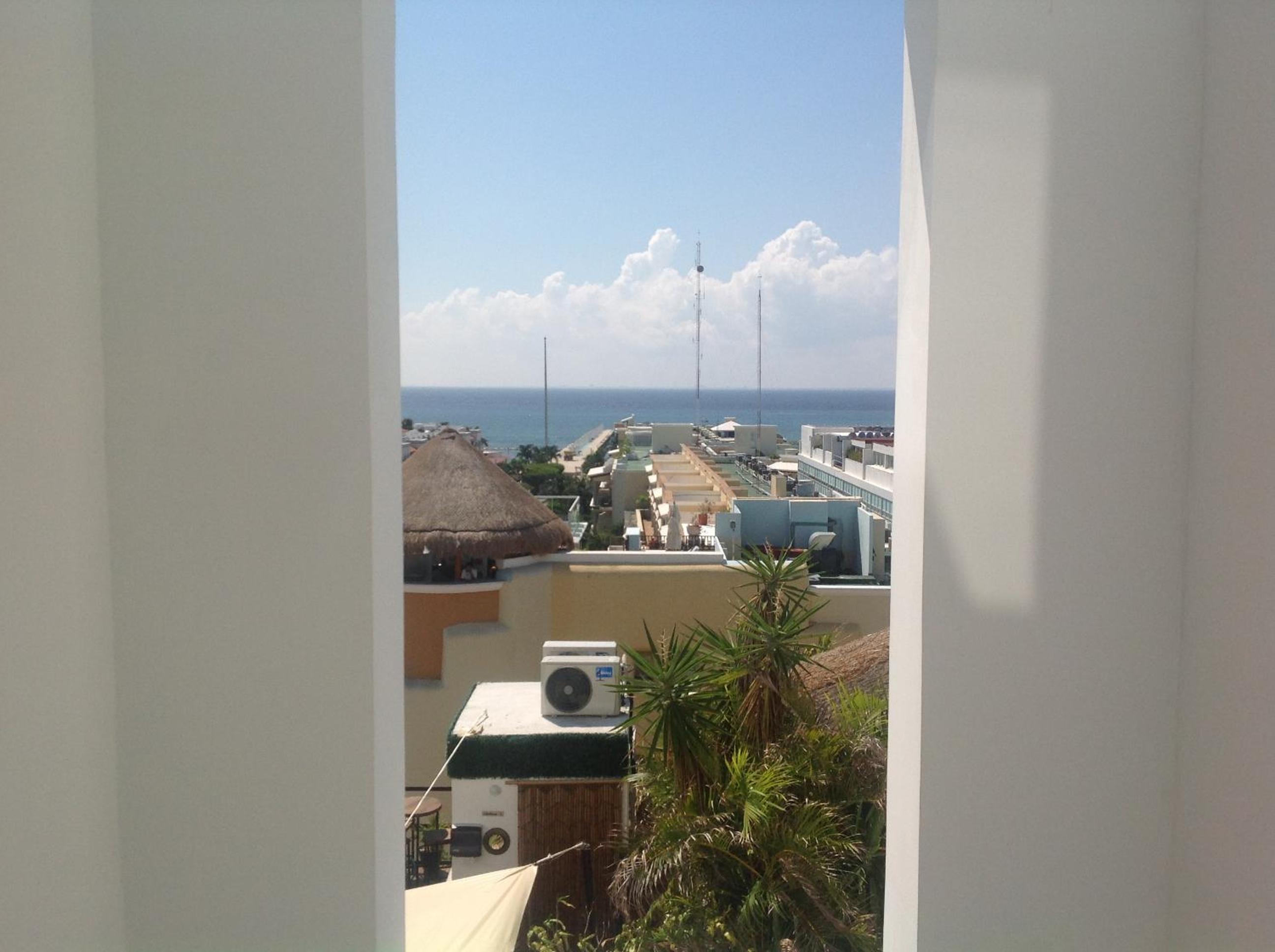 roof