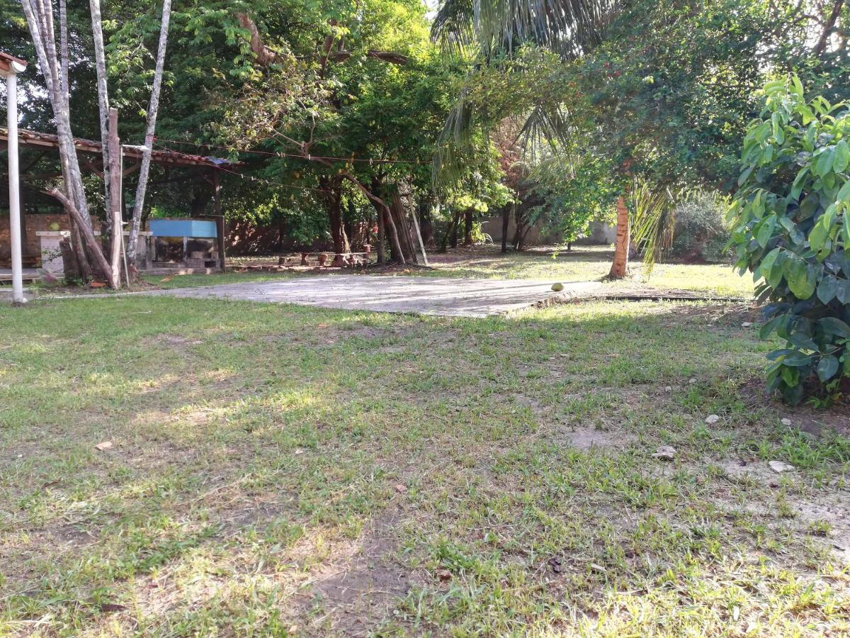 Photo 19