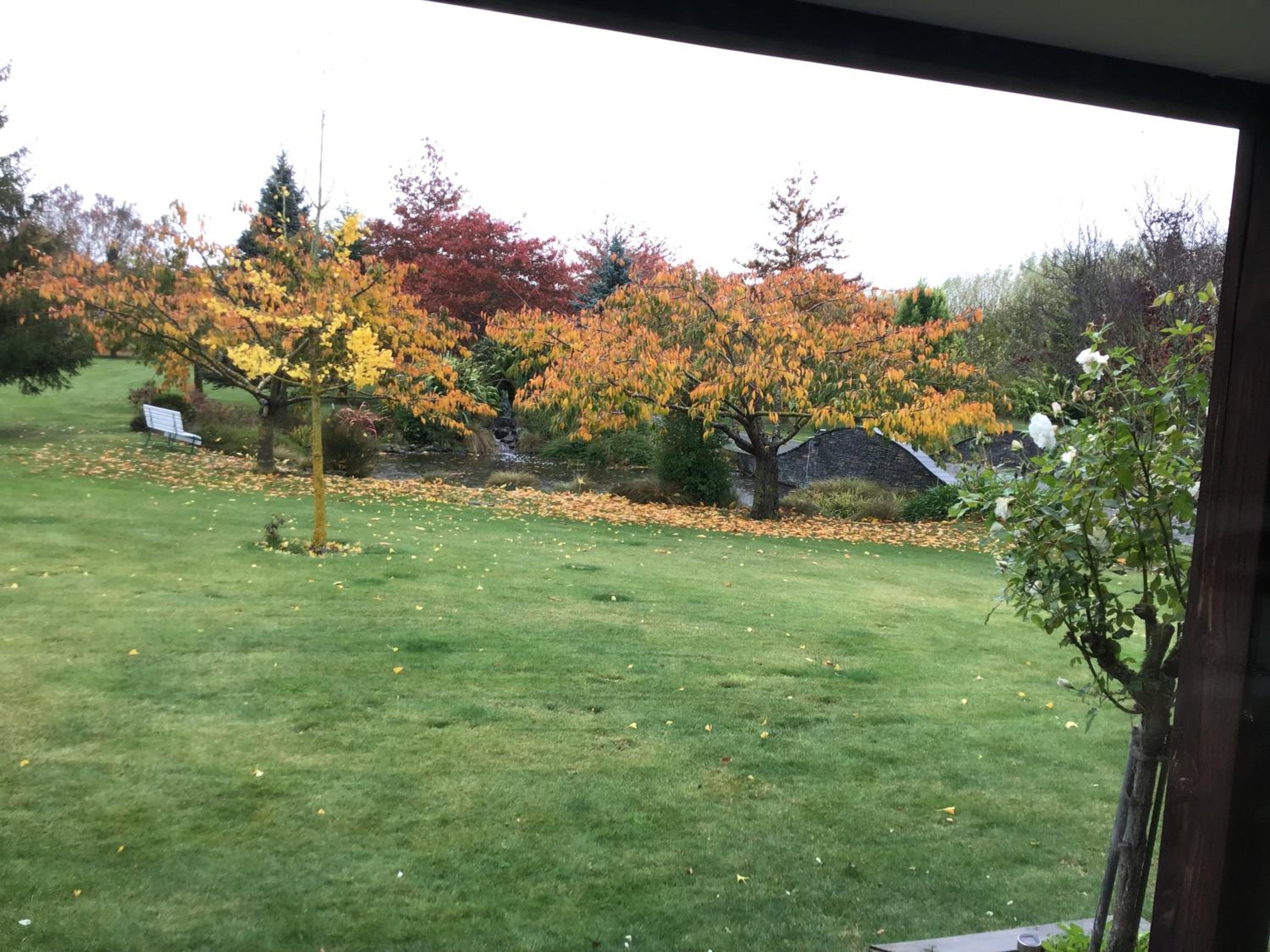 Chester Oaks B&B