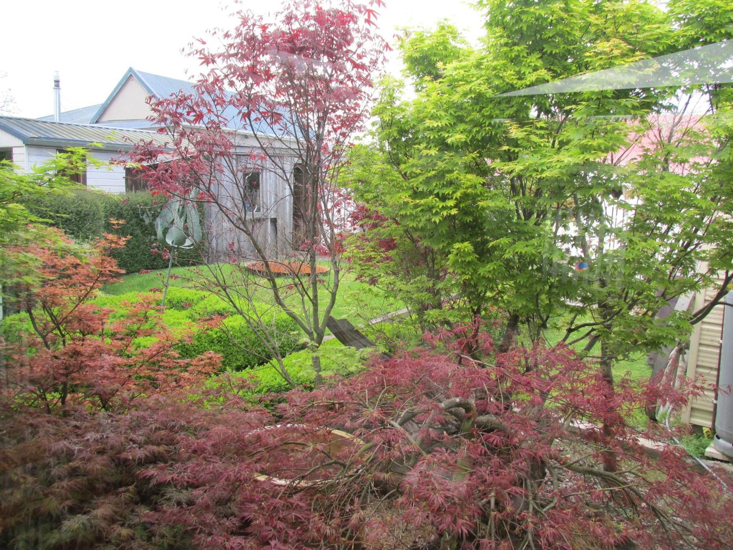 Designer Cottage, photo 19