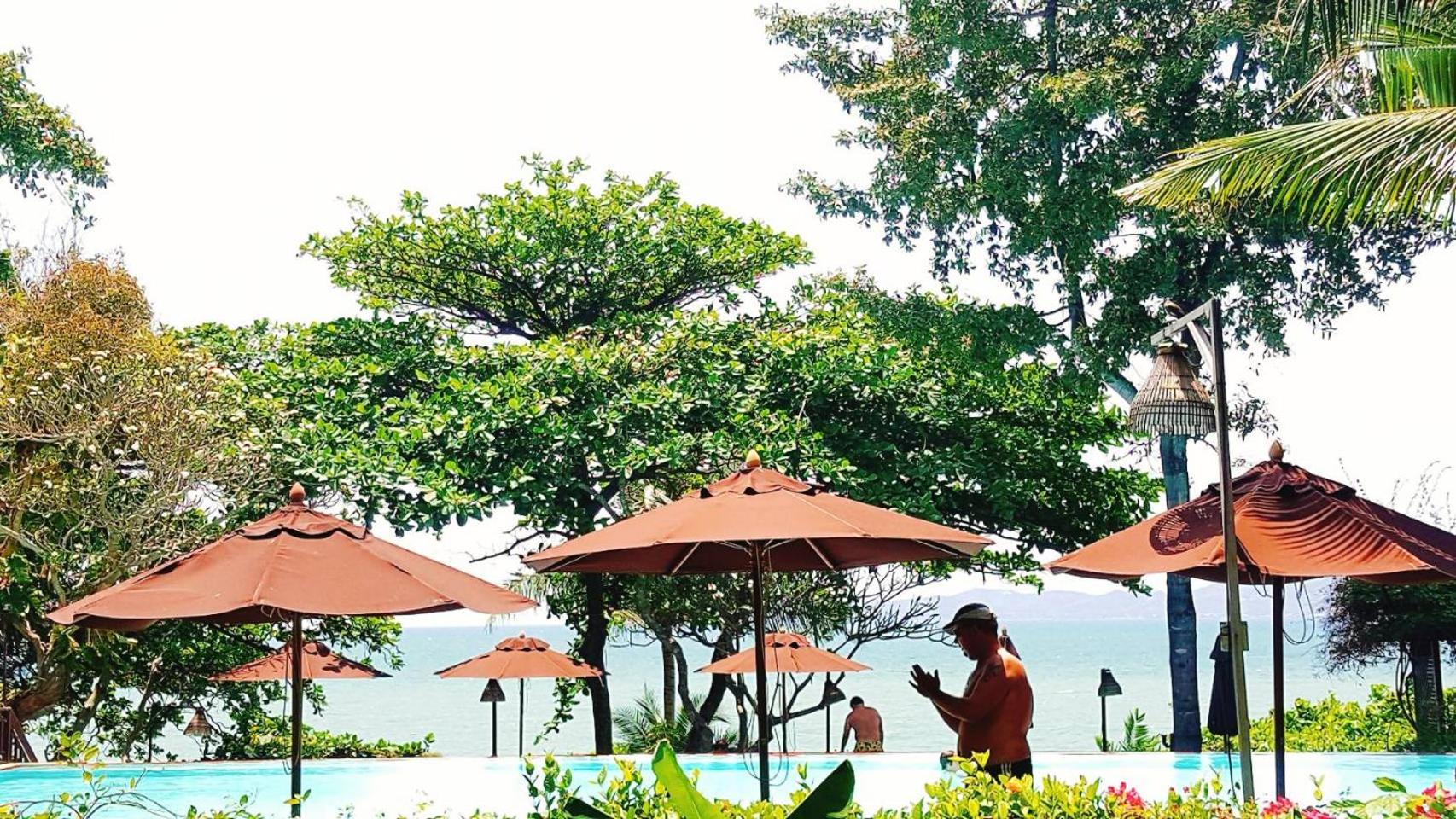 Birds and Bees Resort