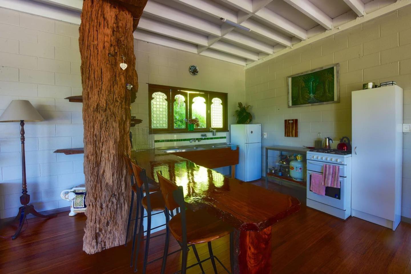 A Daintree Garden