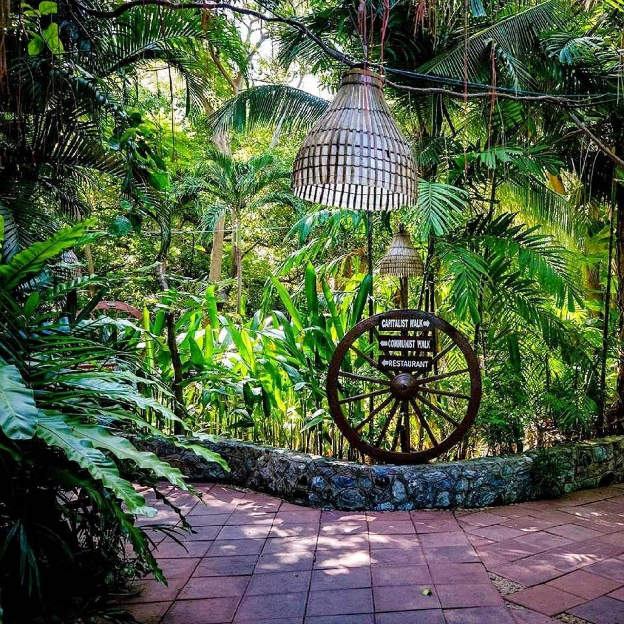 Birds and Bees Resort