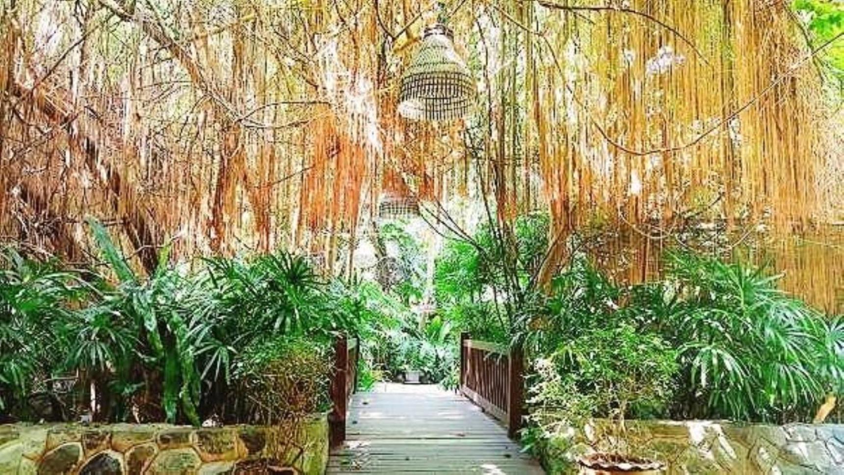 Birds and Bees Resort