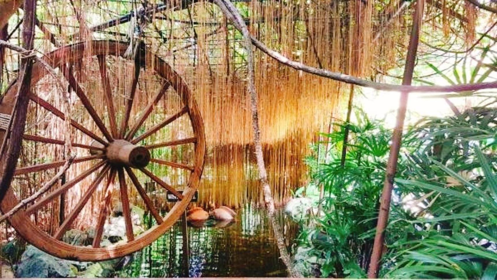 Birds and Bees Resort