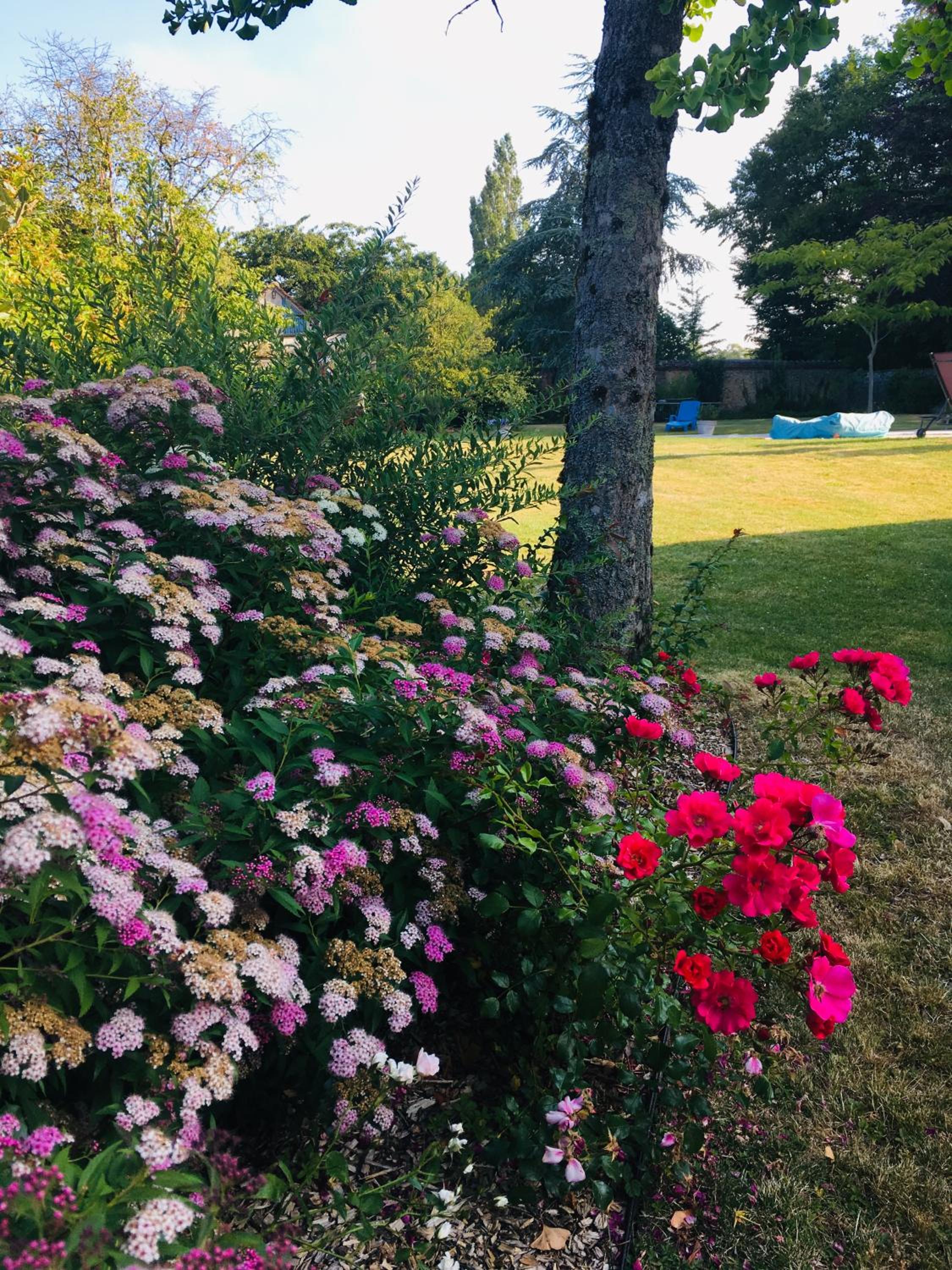 Les Couleurs du Verger
