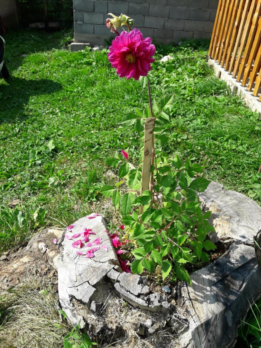 Photo 34