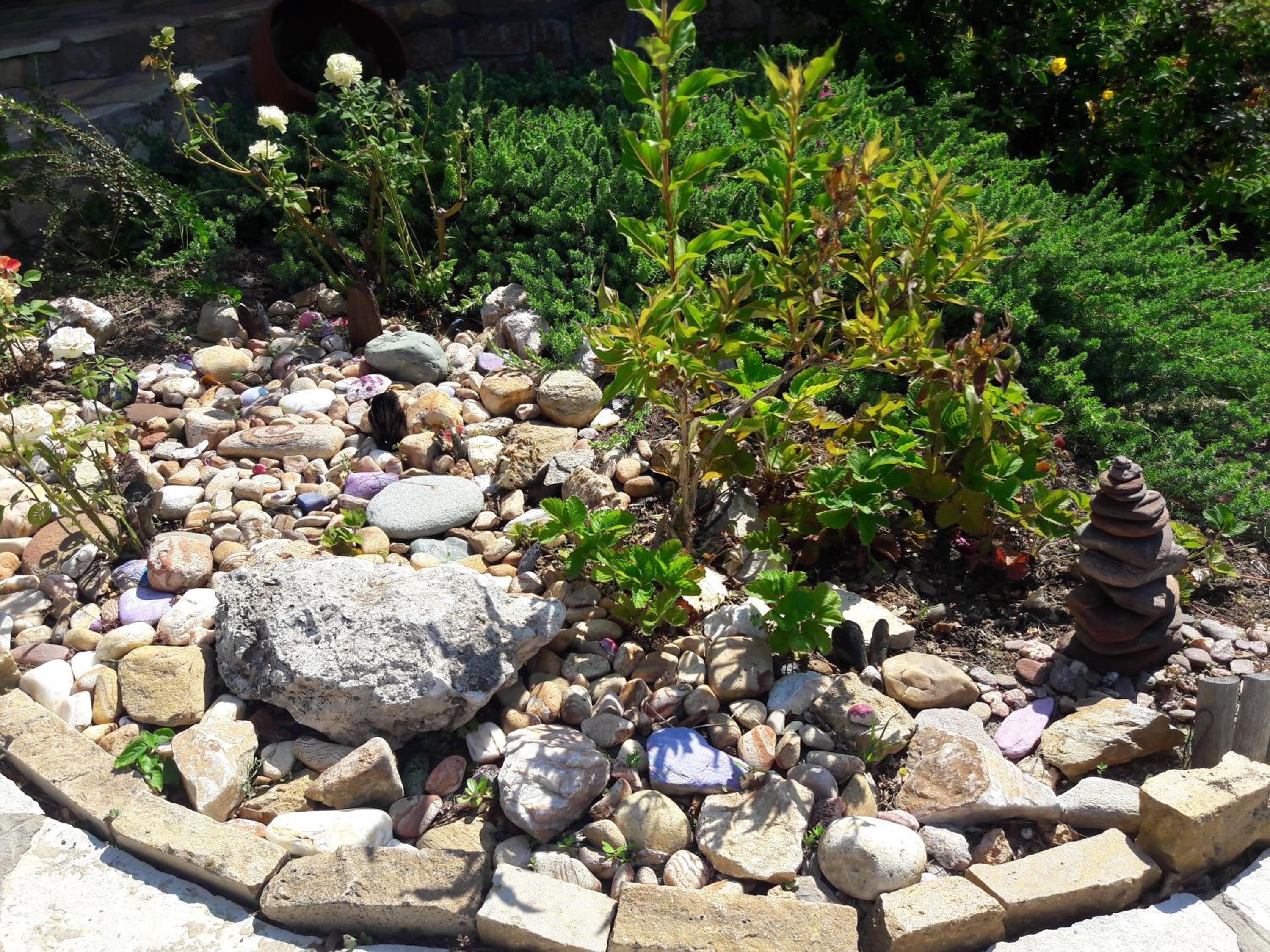 Photo 41