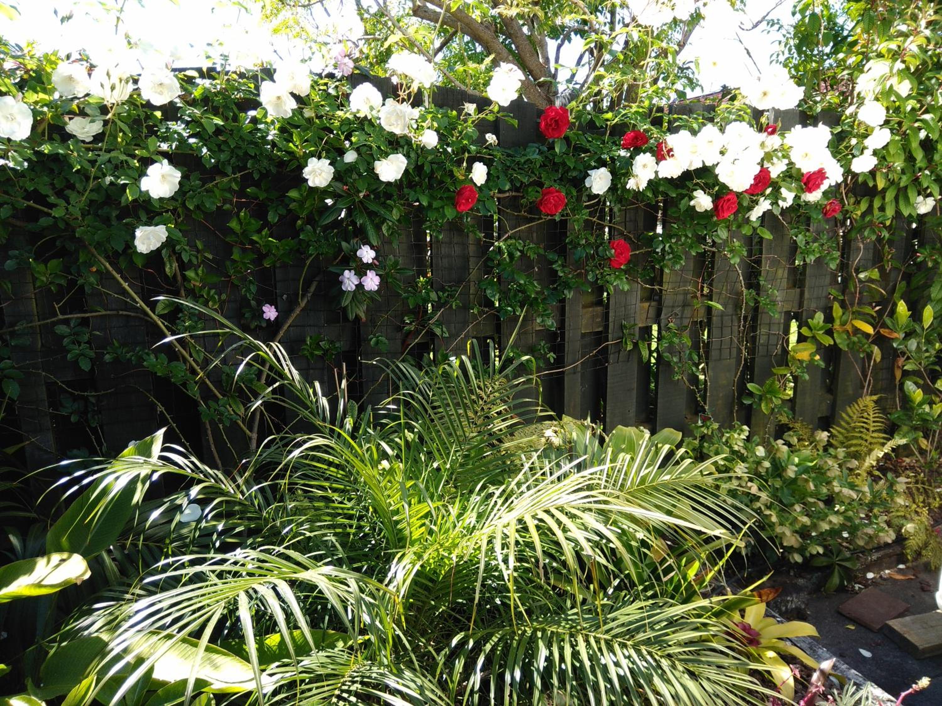 Photo 15