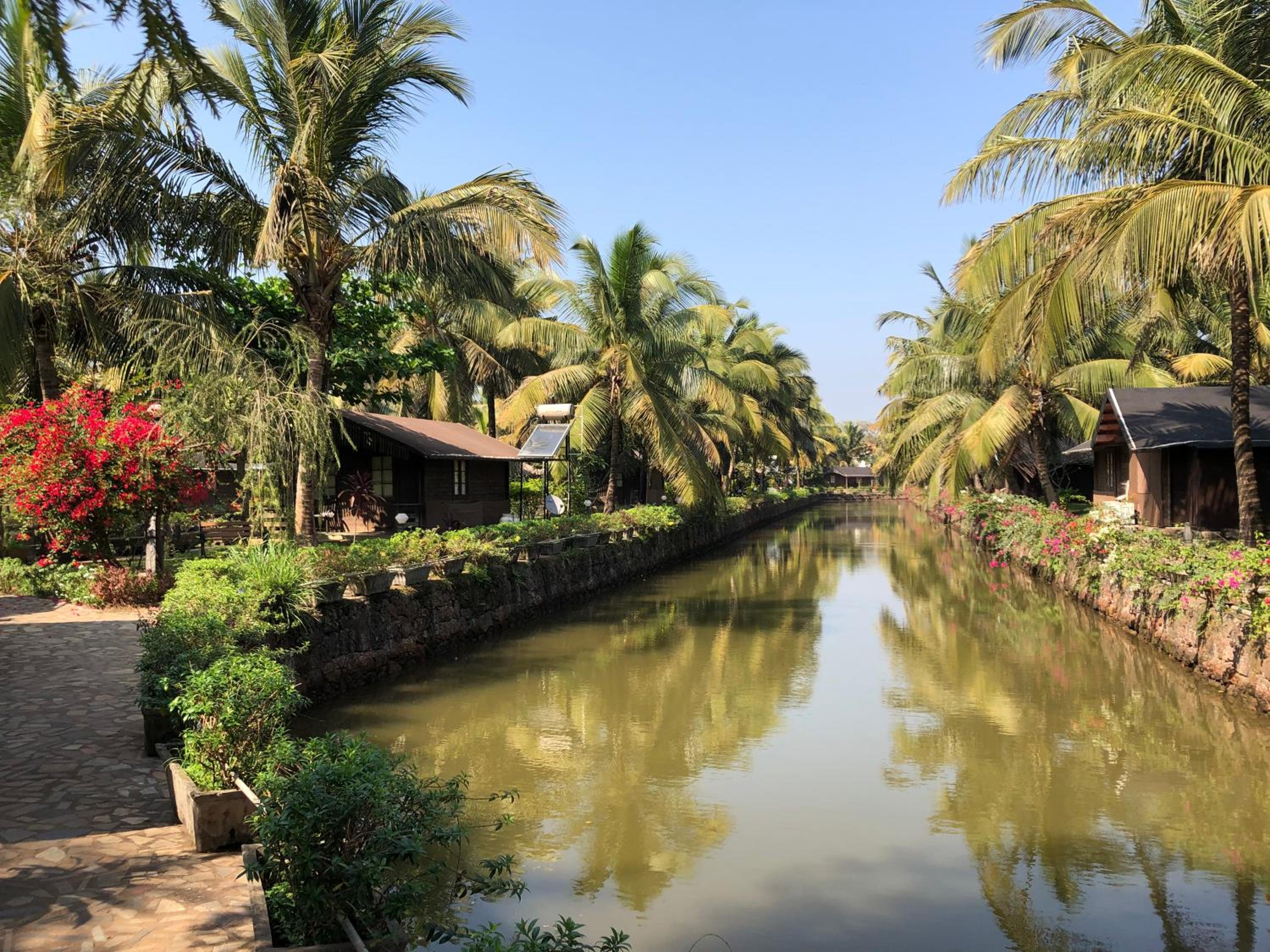 Photo 101