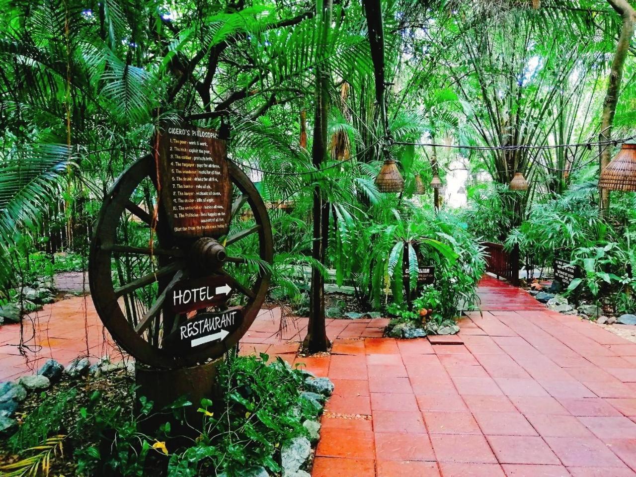 Birds and Bees Resort