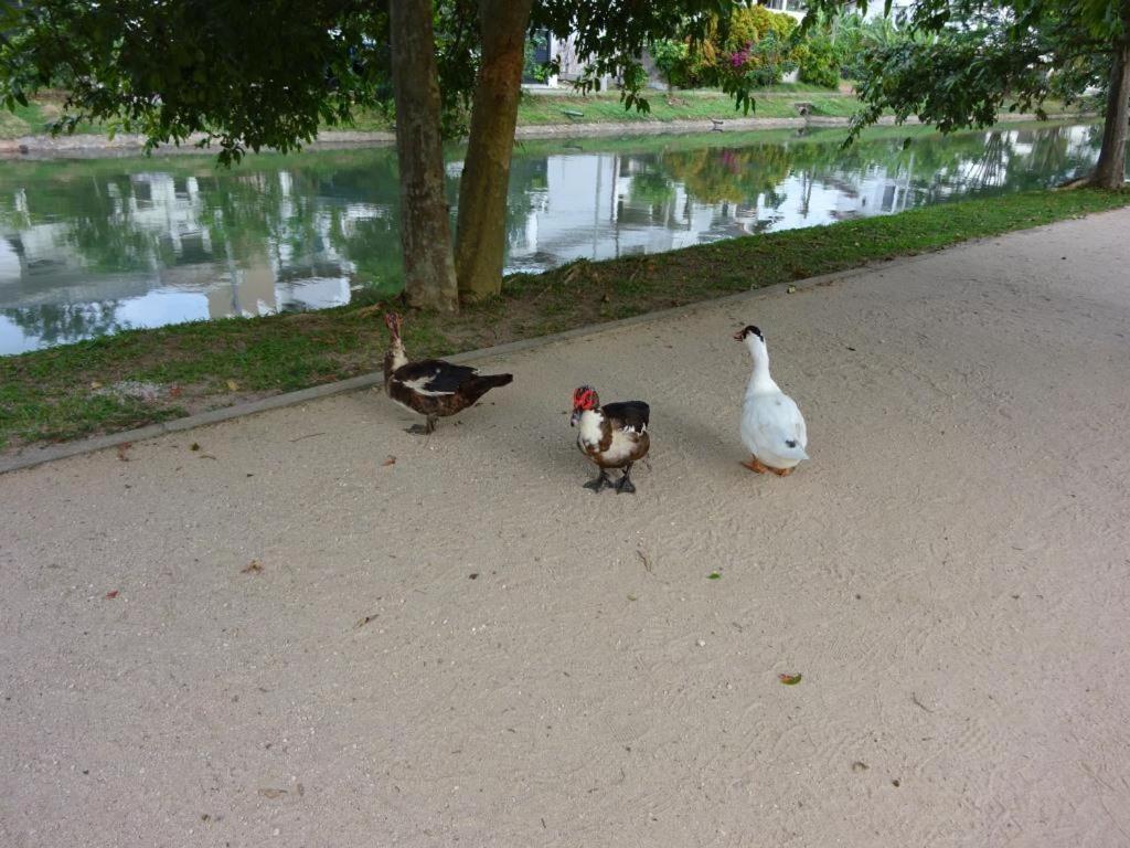 Photo 49