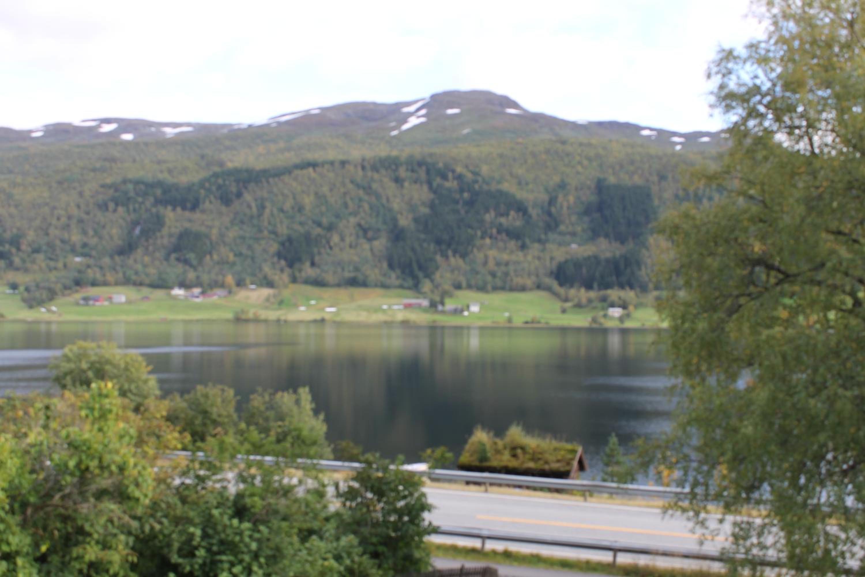Photo 40