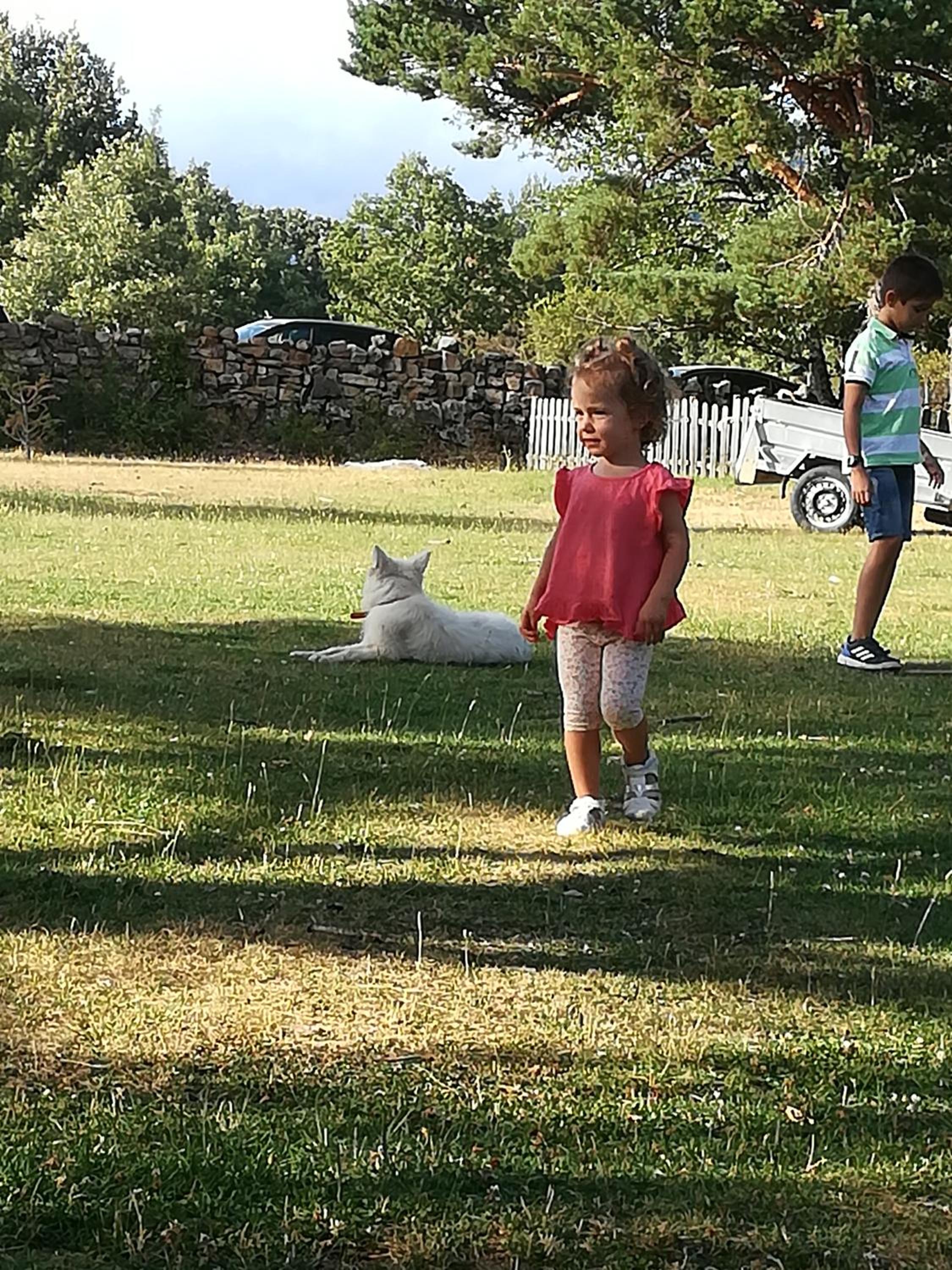 human