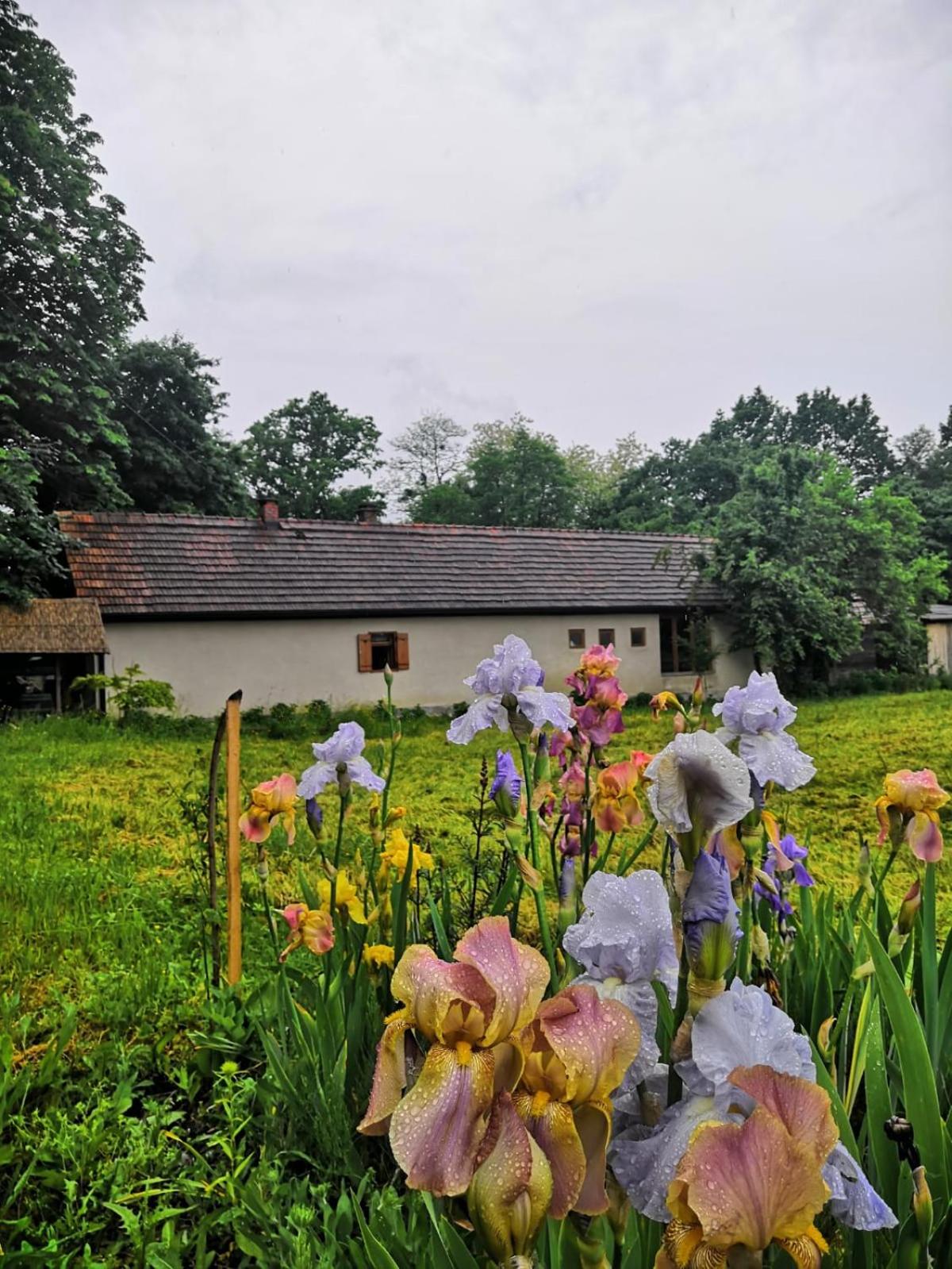 Holiday Home "Rim" - Kuća za odmor i kućice view 3