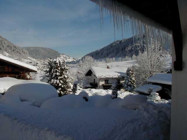 Photo 20
