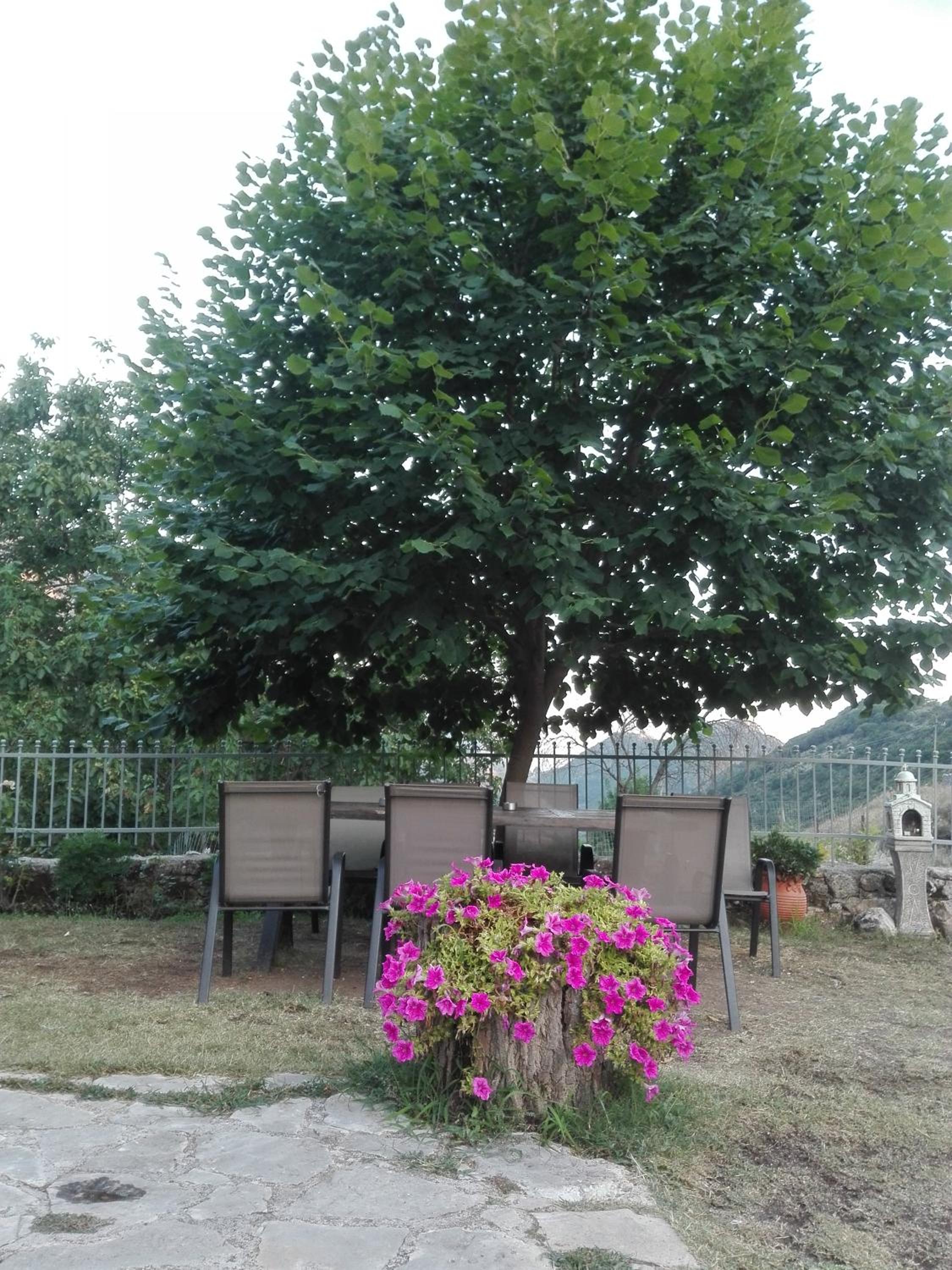 Photo 48