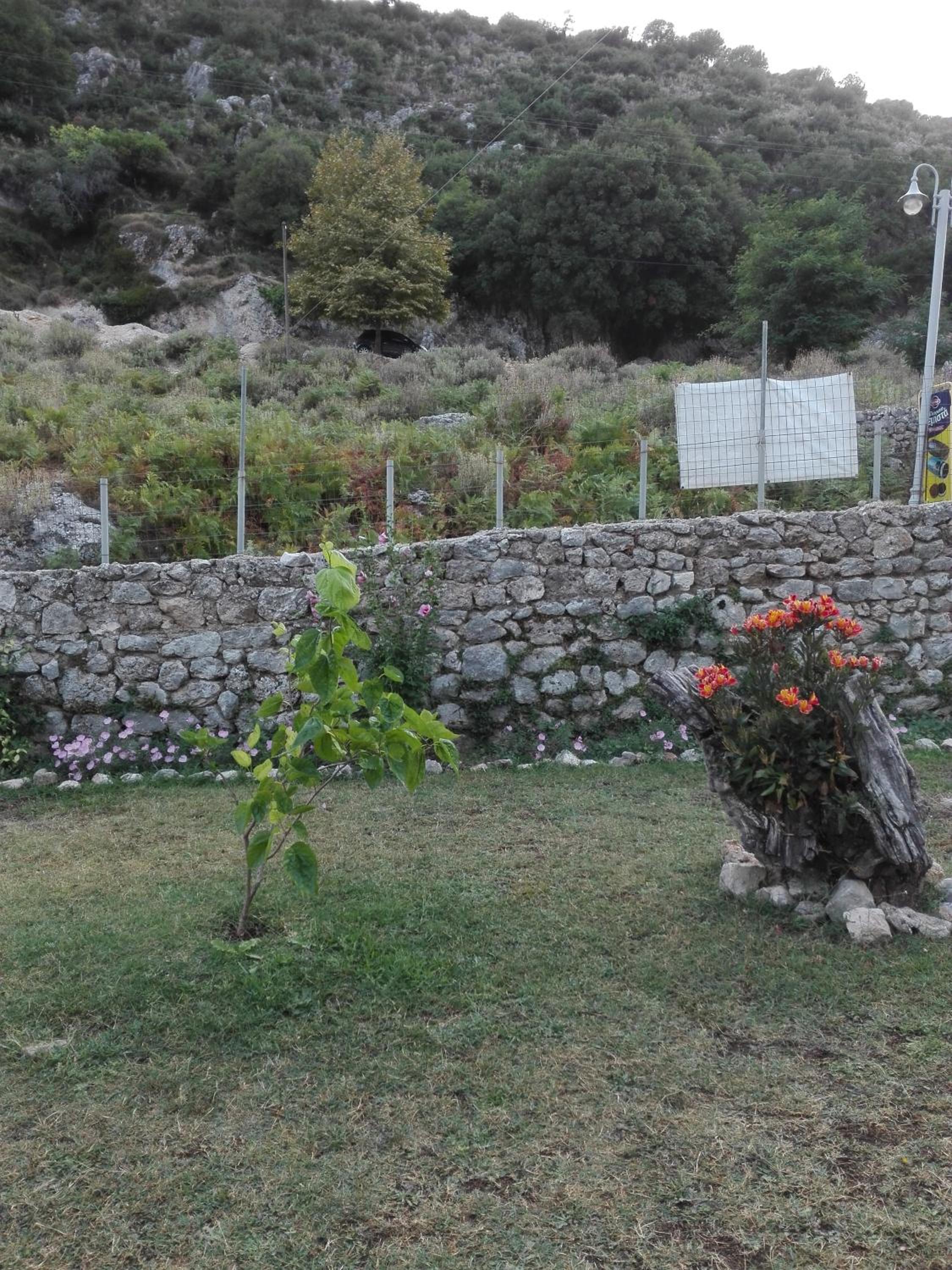 Photo 47