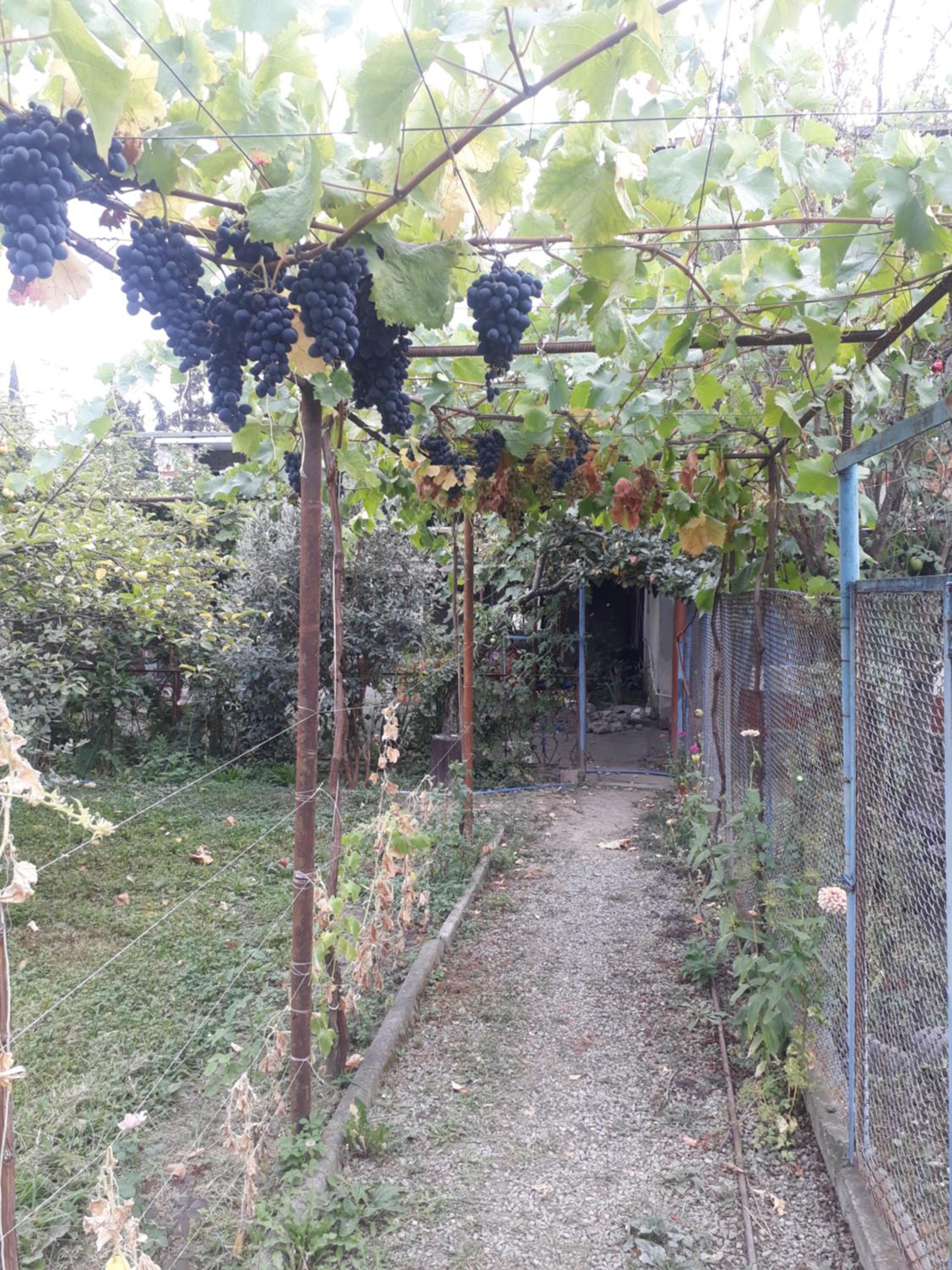 Photo 48