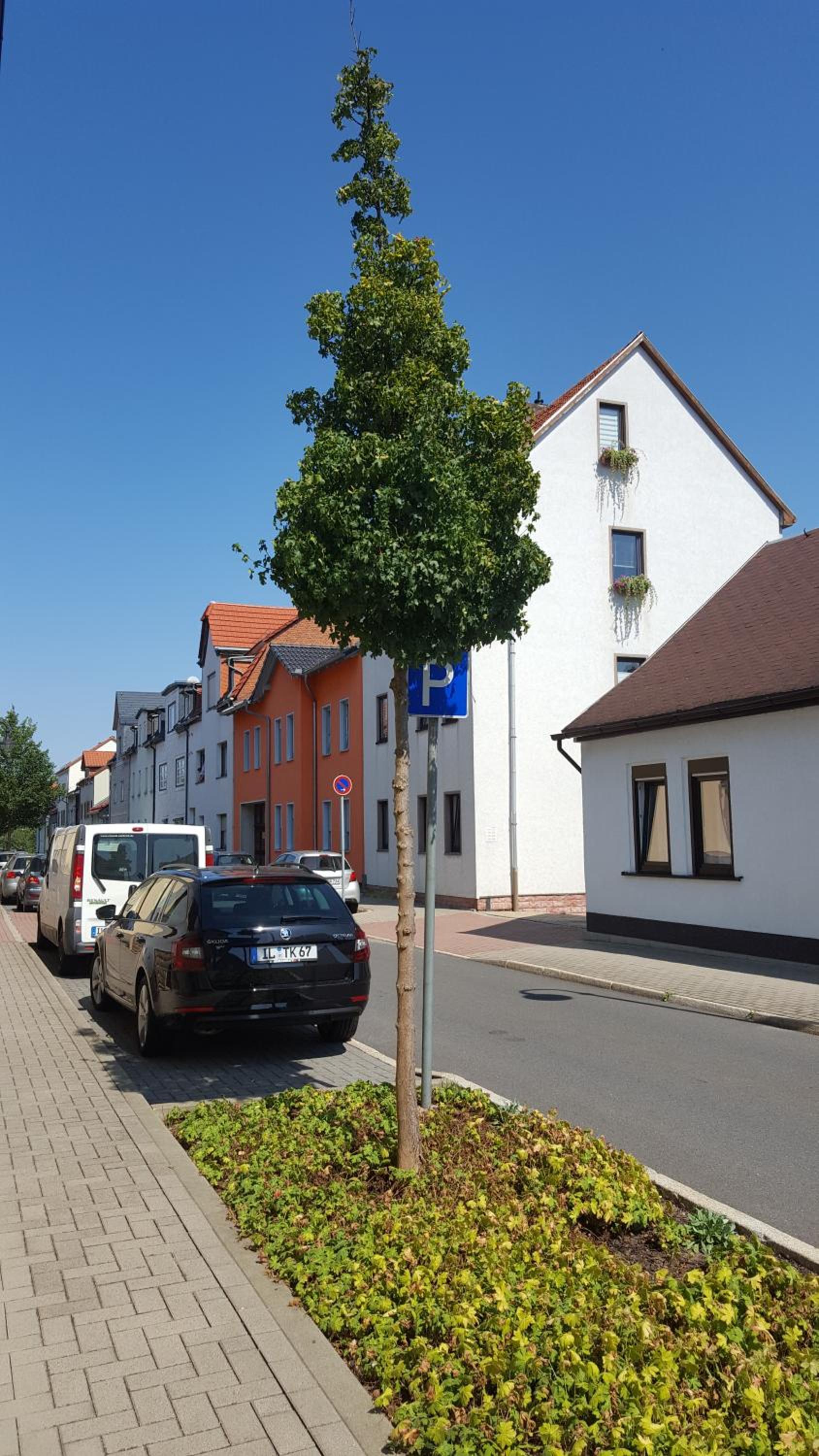 parking