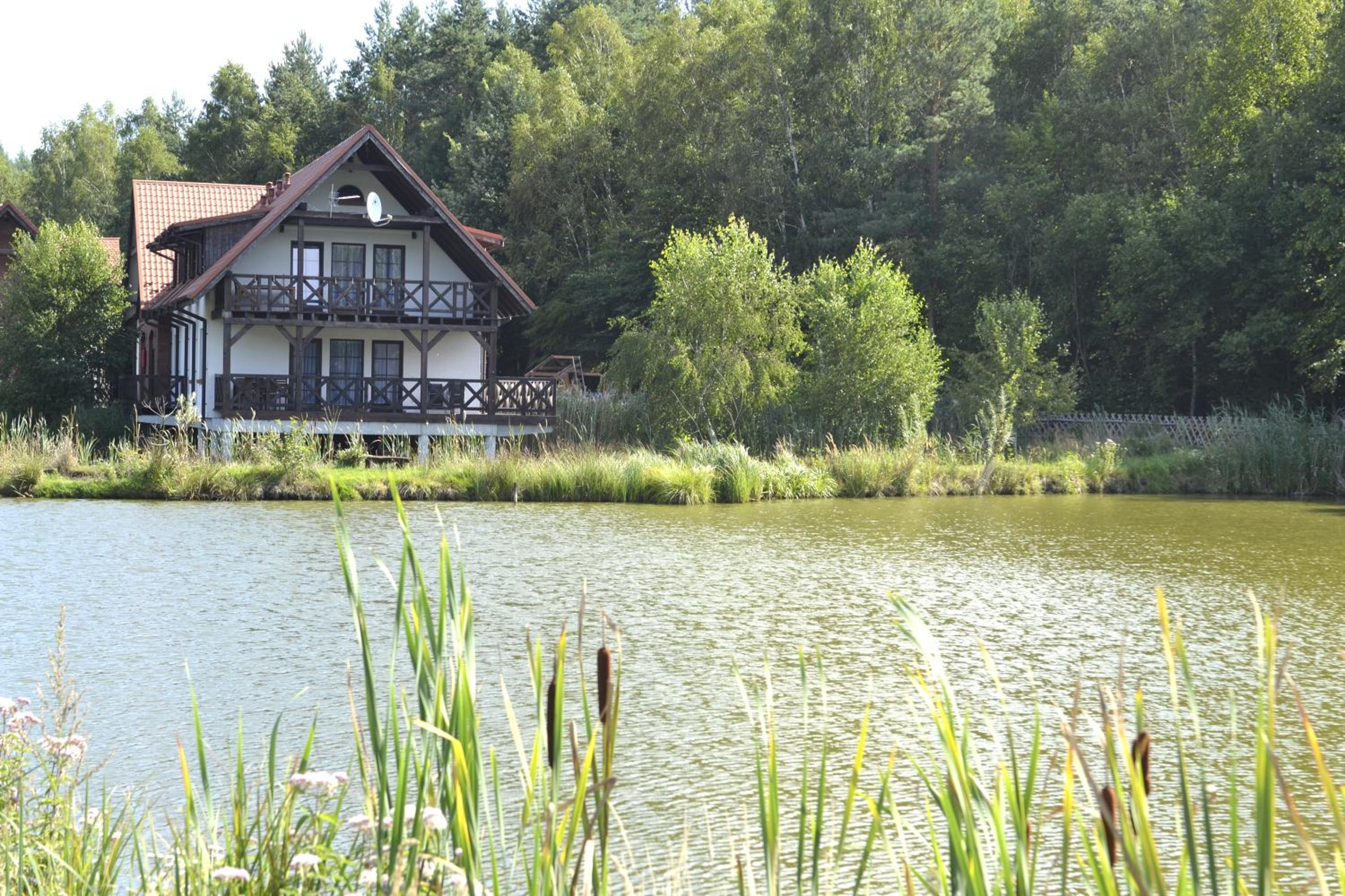 Photo 46