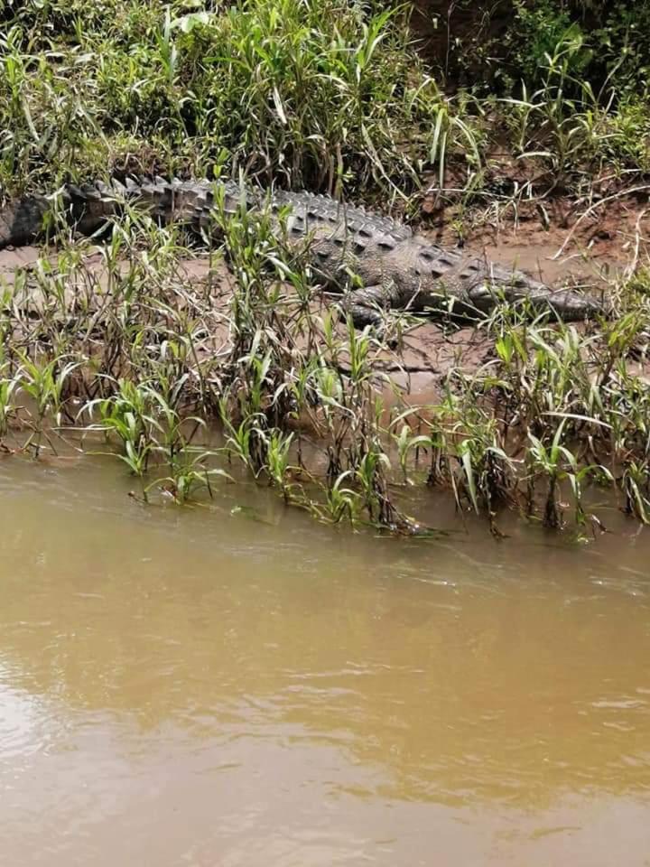 Iguanitas Lodge