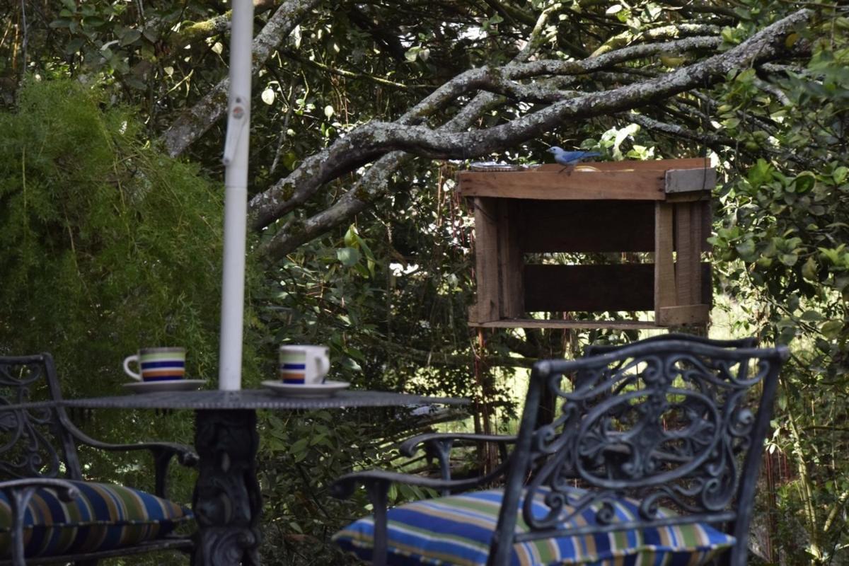 Nirvana House Calima Darien
