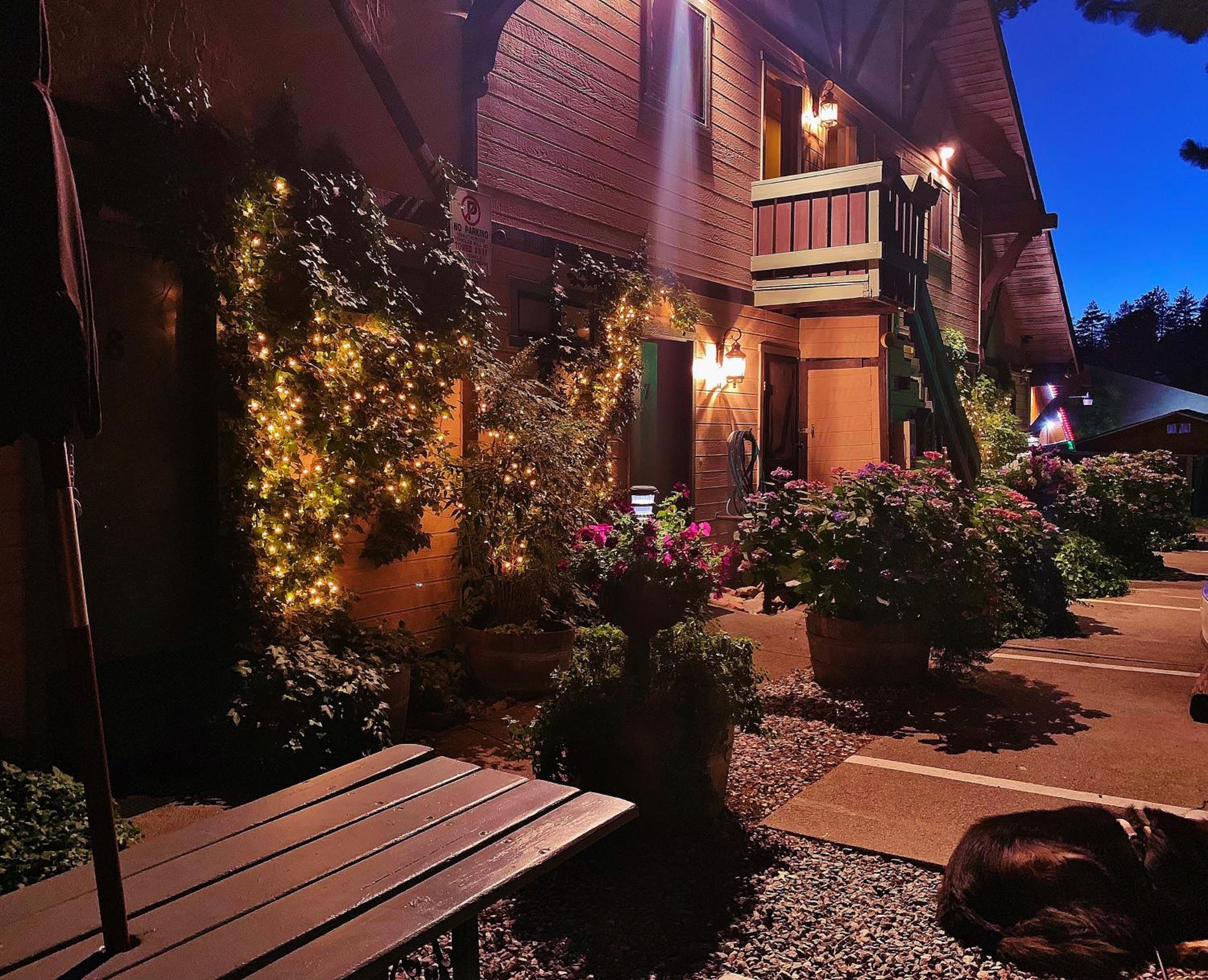 The North Shore Inn