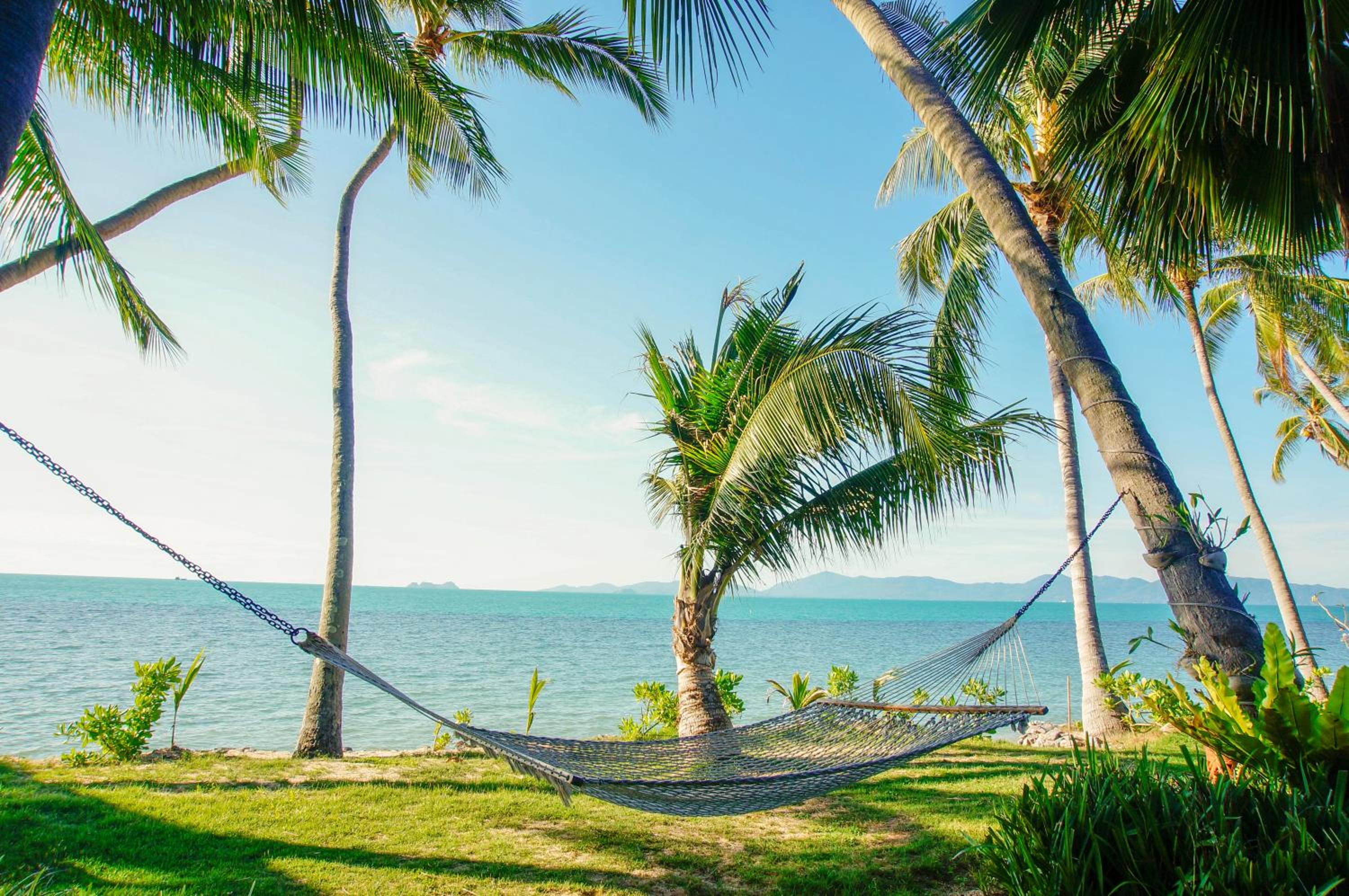 The Natives Samui