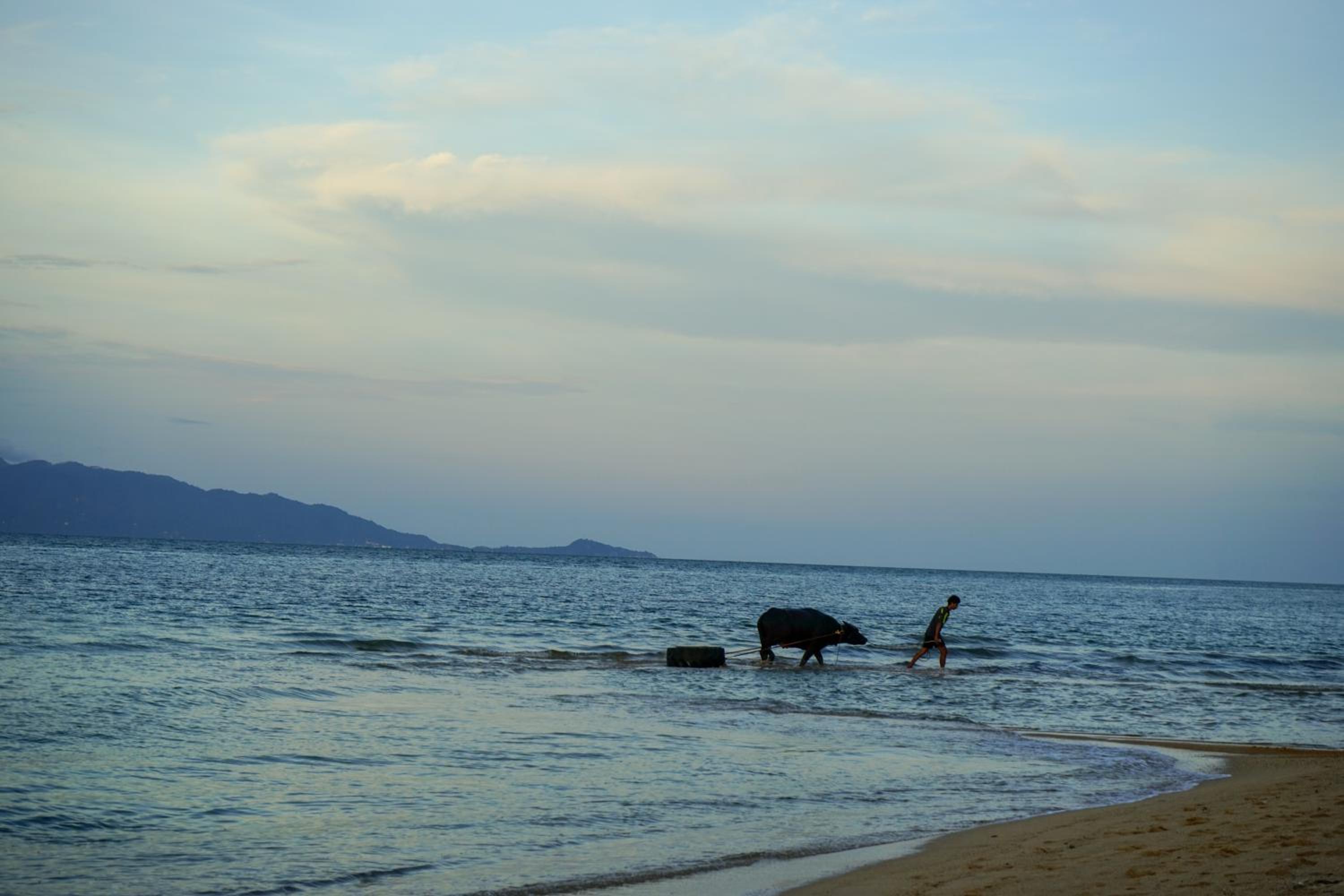 The Natives Samui