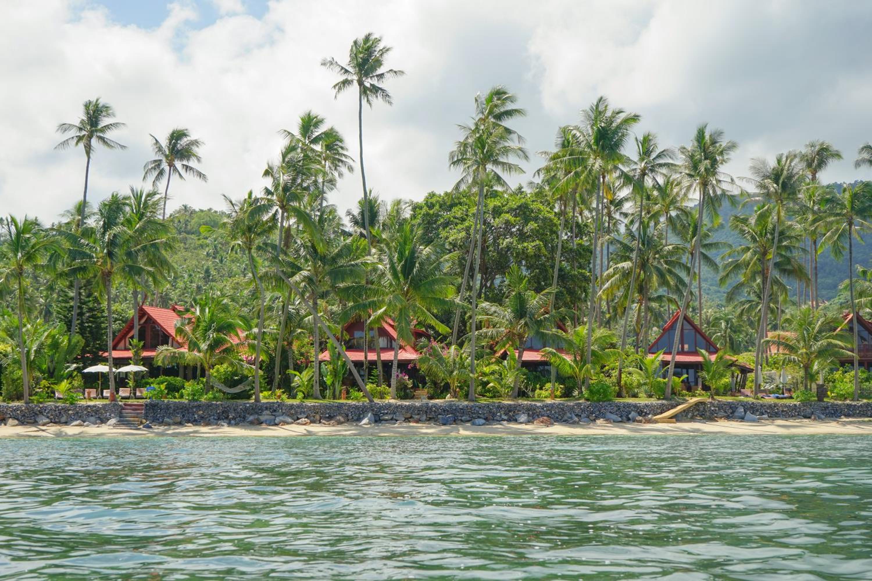 The Natives Samui