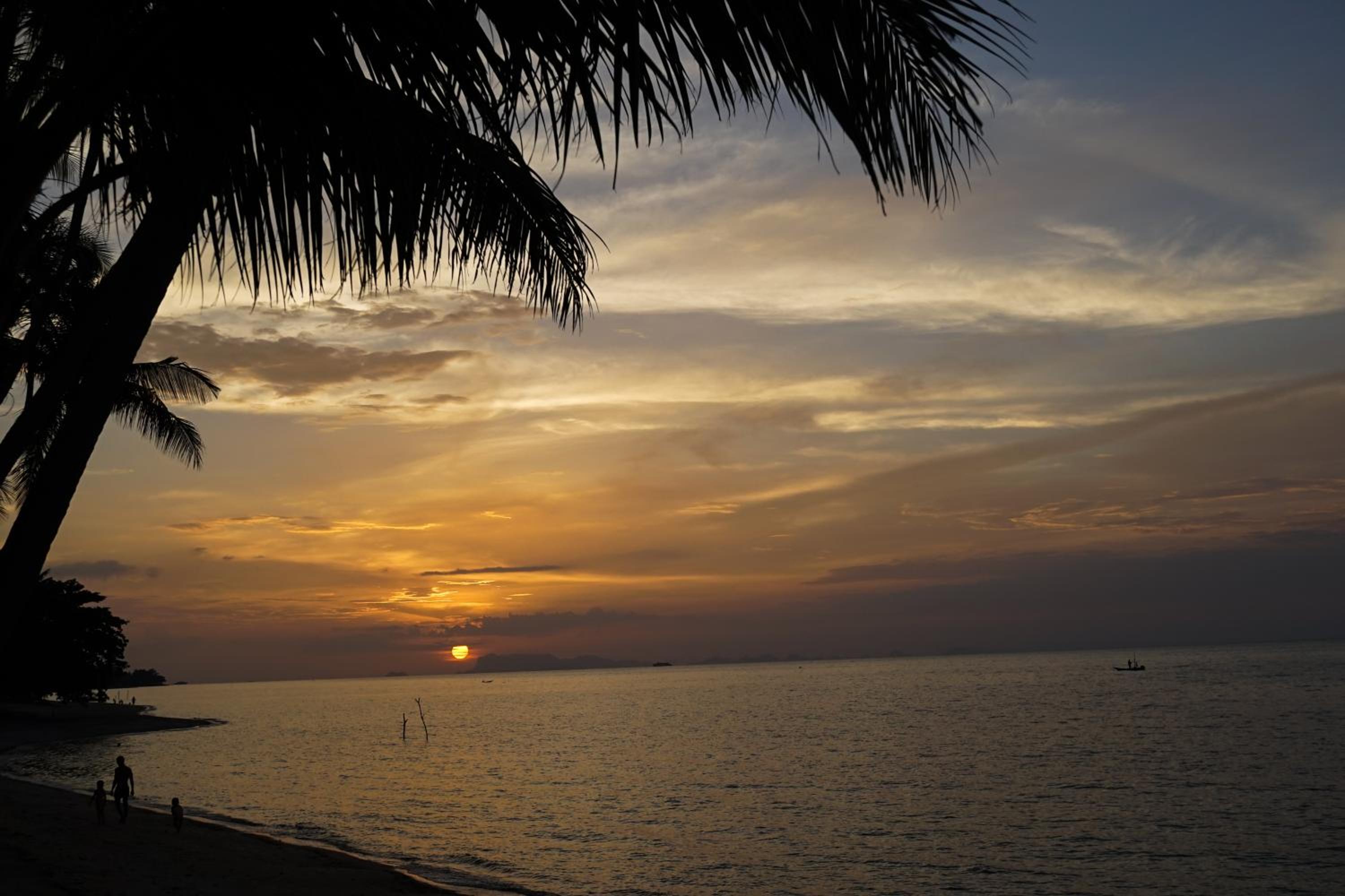 The Natives Samui