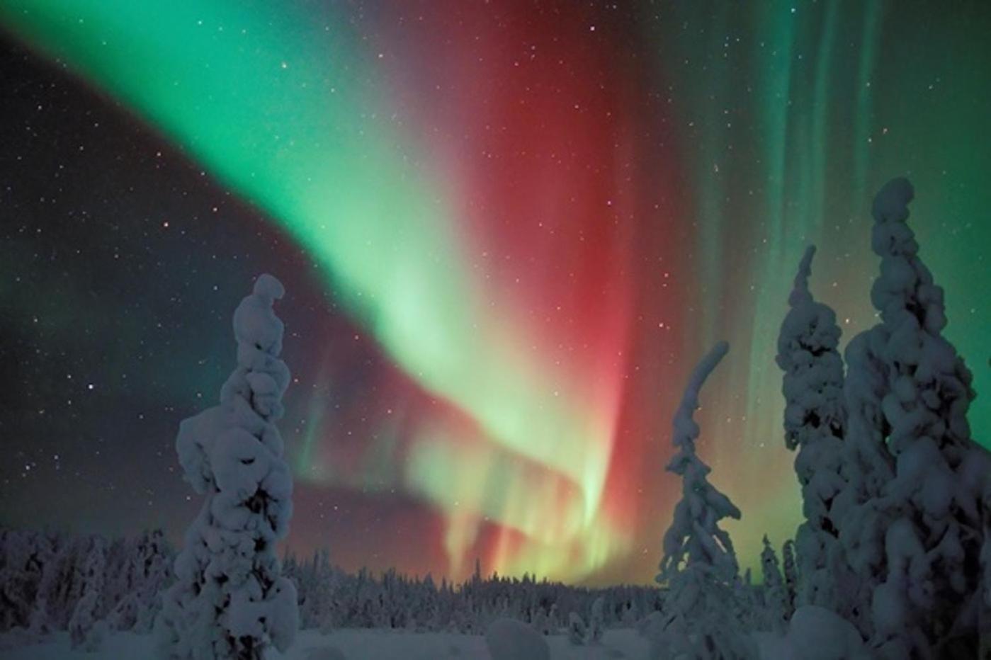 Arctic Resort Delight
