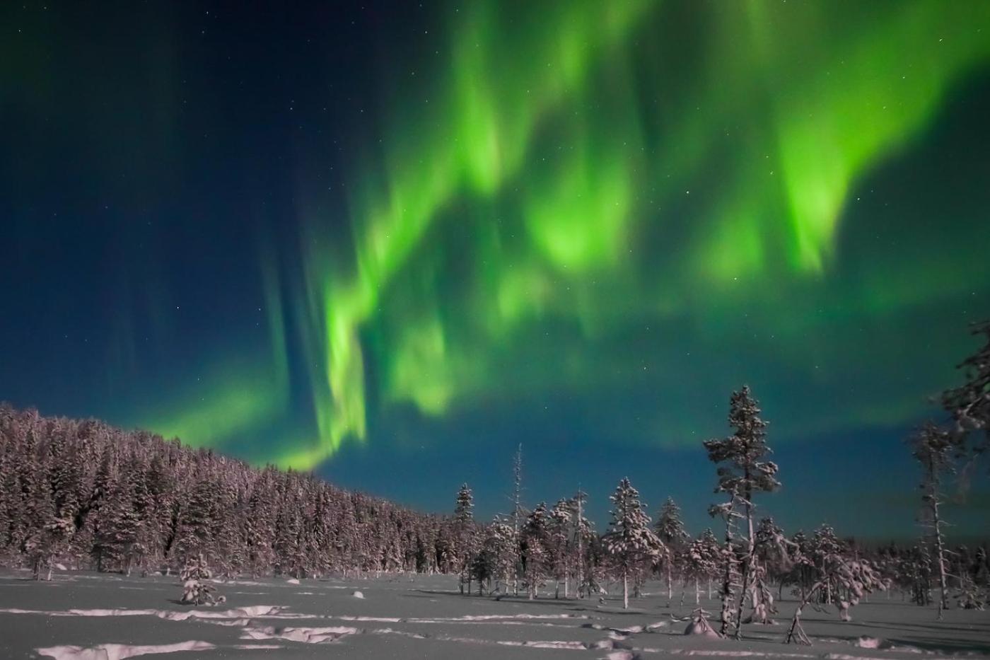 Arctic Resort Delight