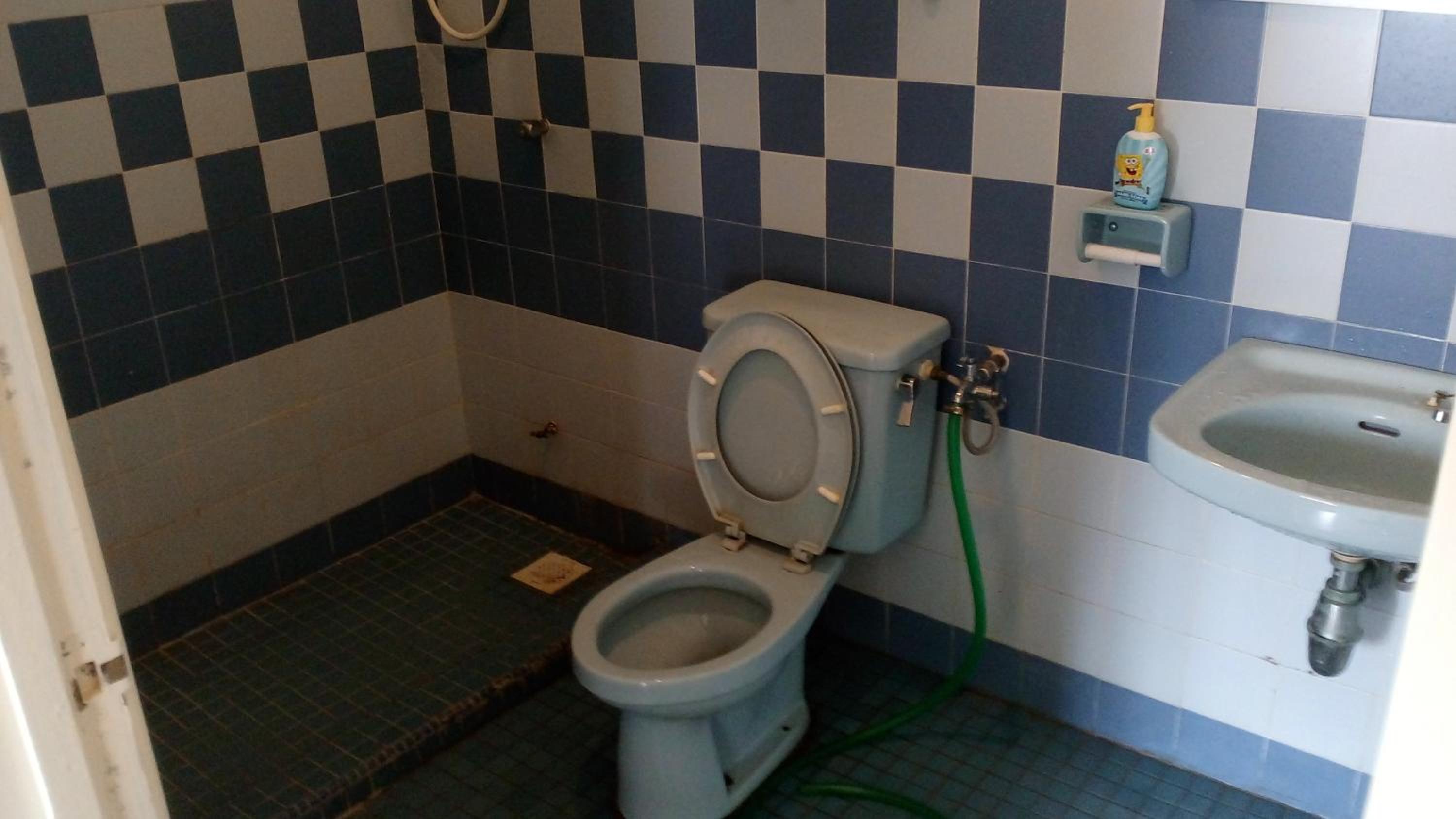 Photo 100