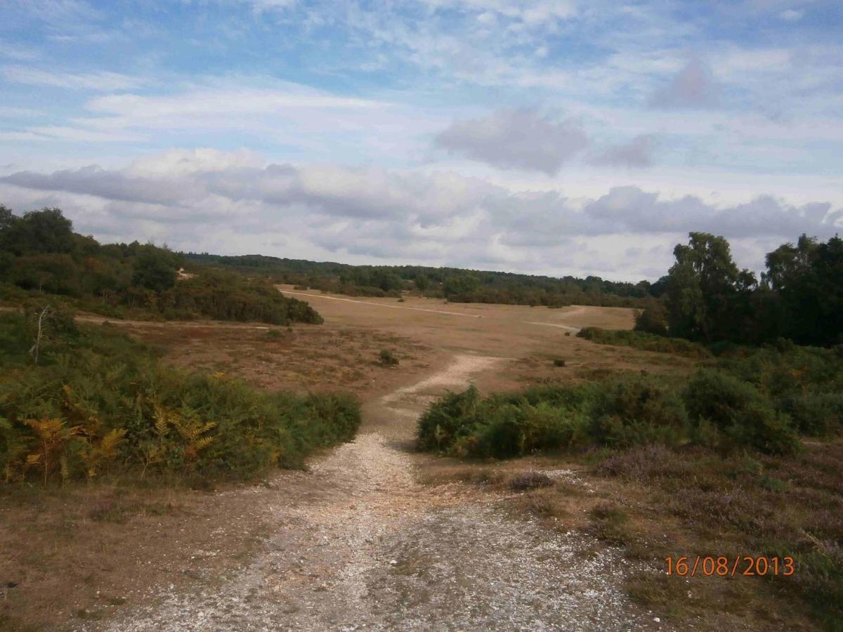 Photo 29