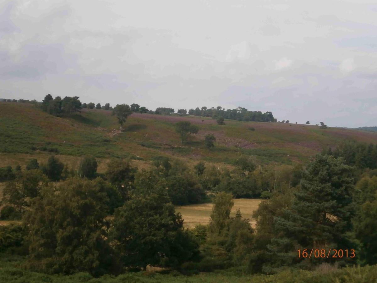 Photo 32