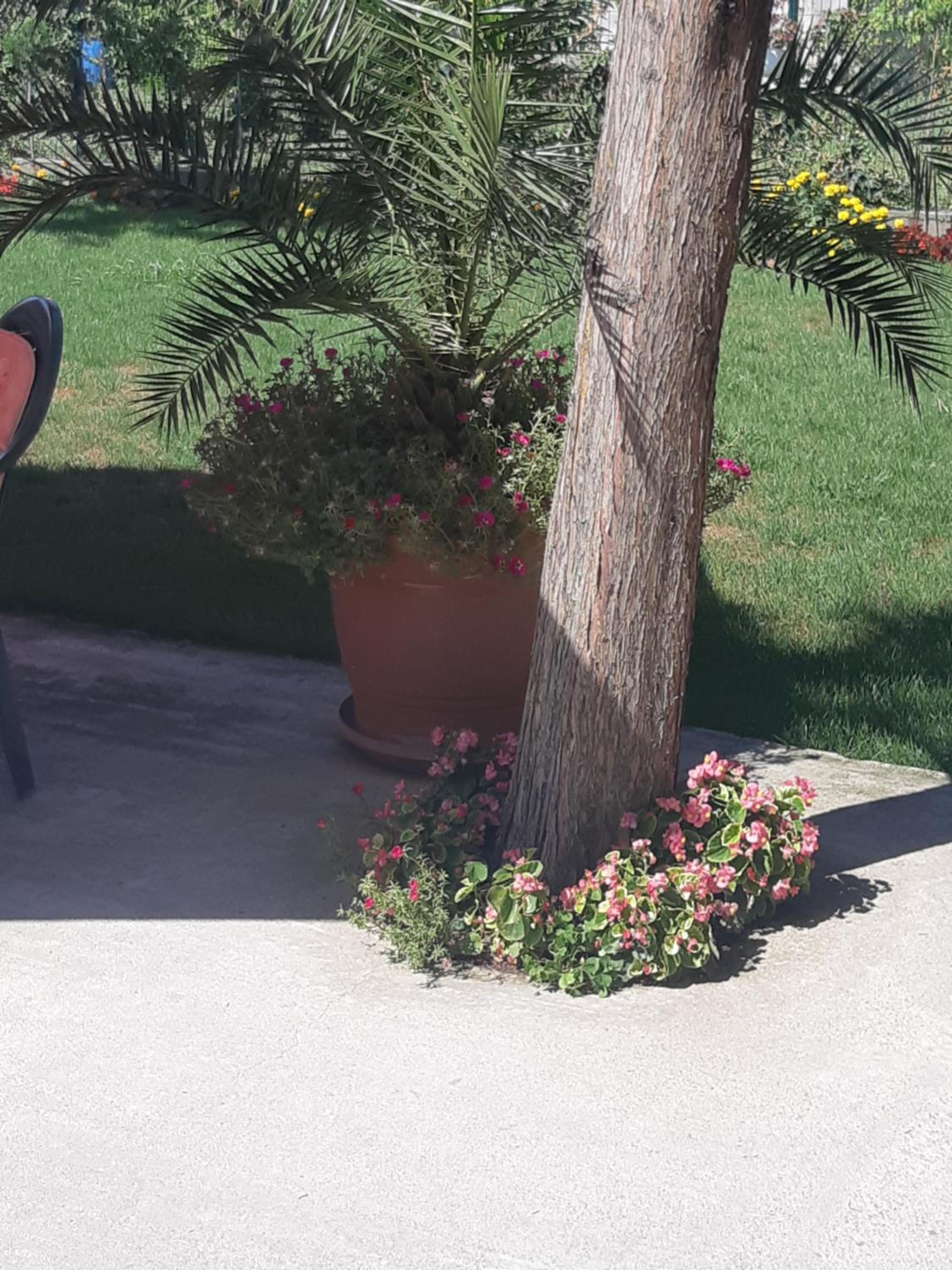 Villa Ros Guest House