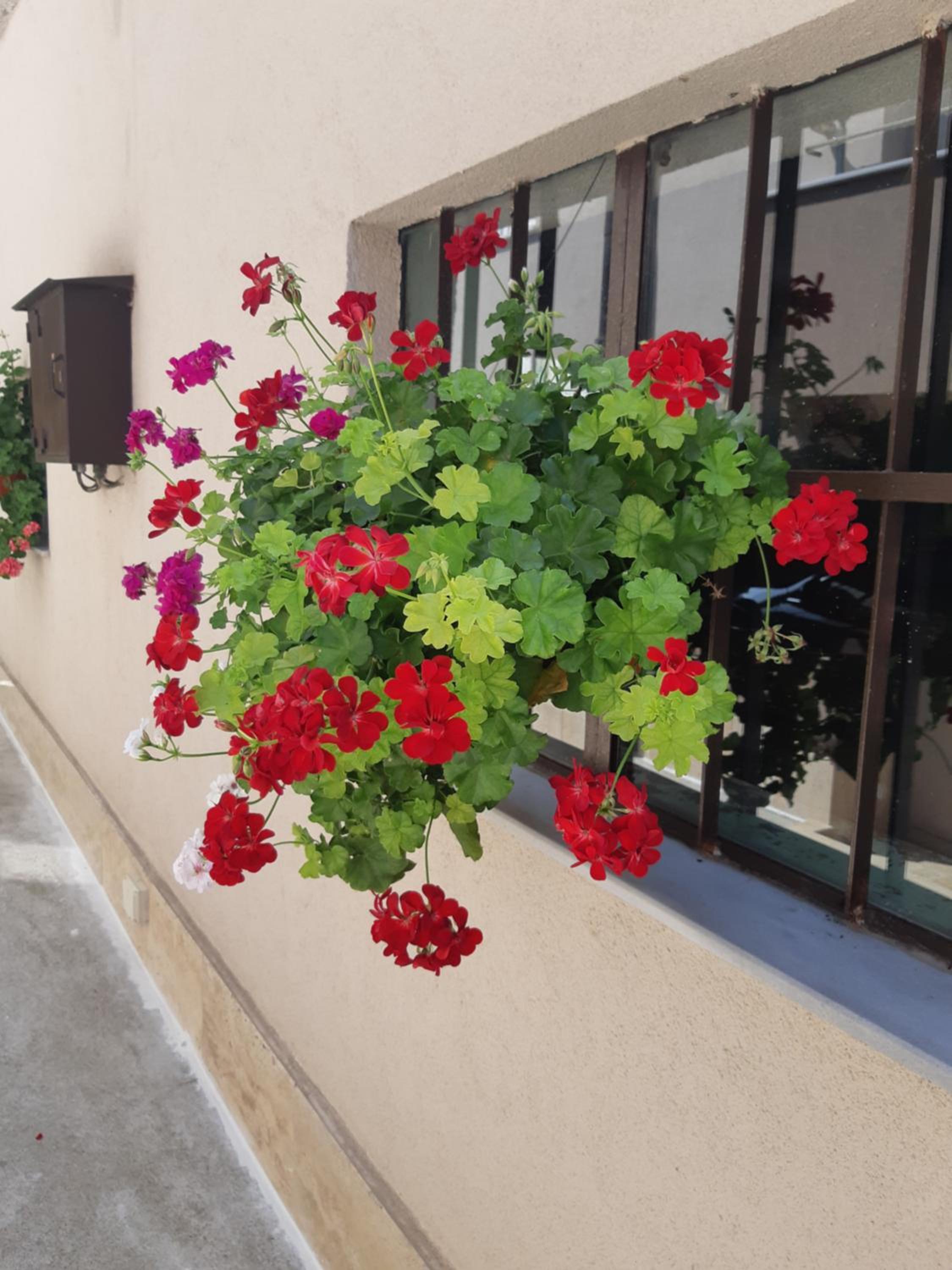 Villa Ros Guest House