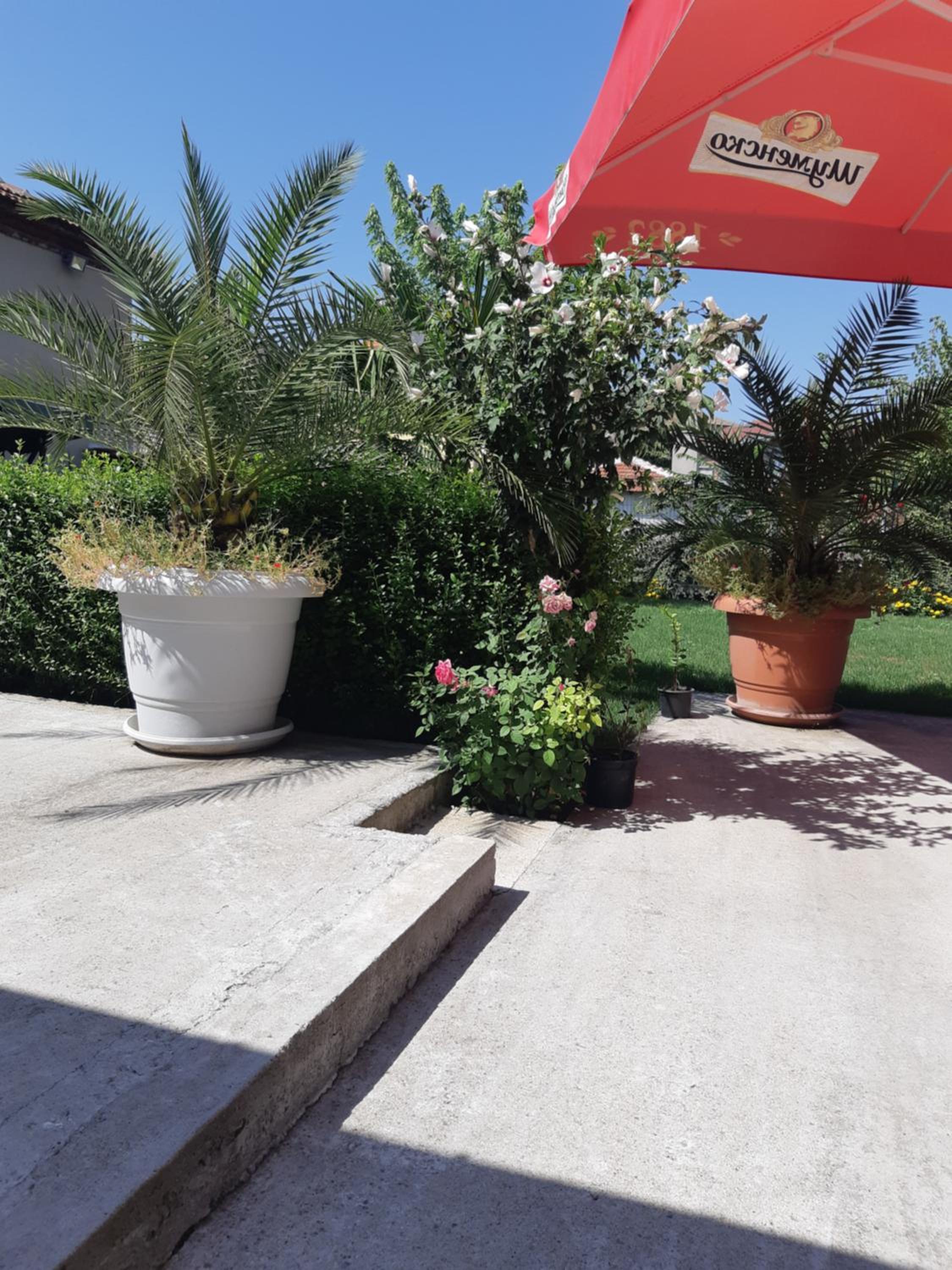 Villa Ros Guest House