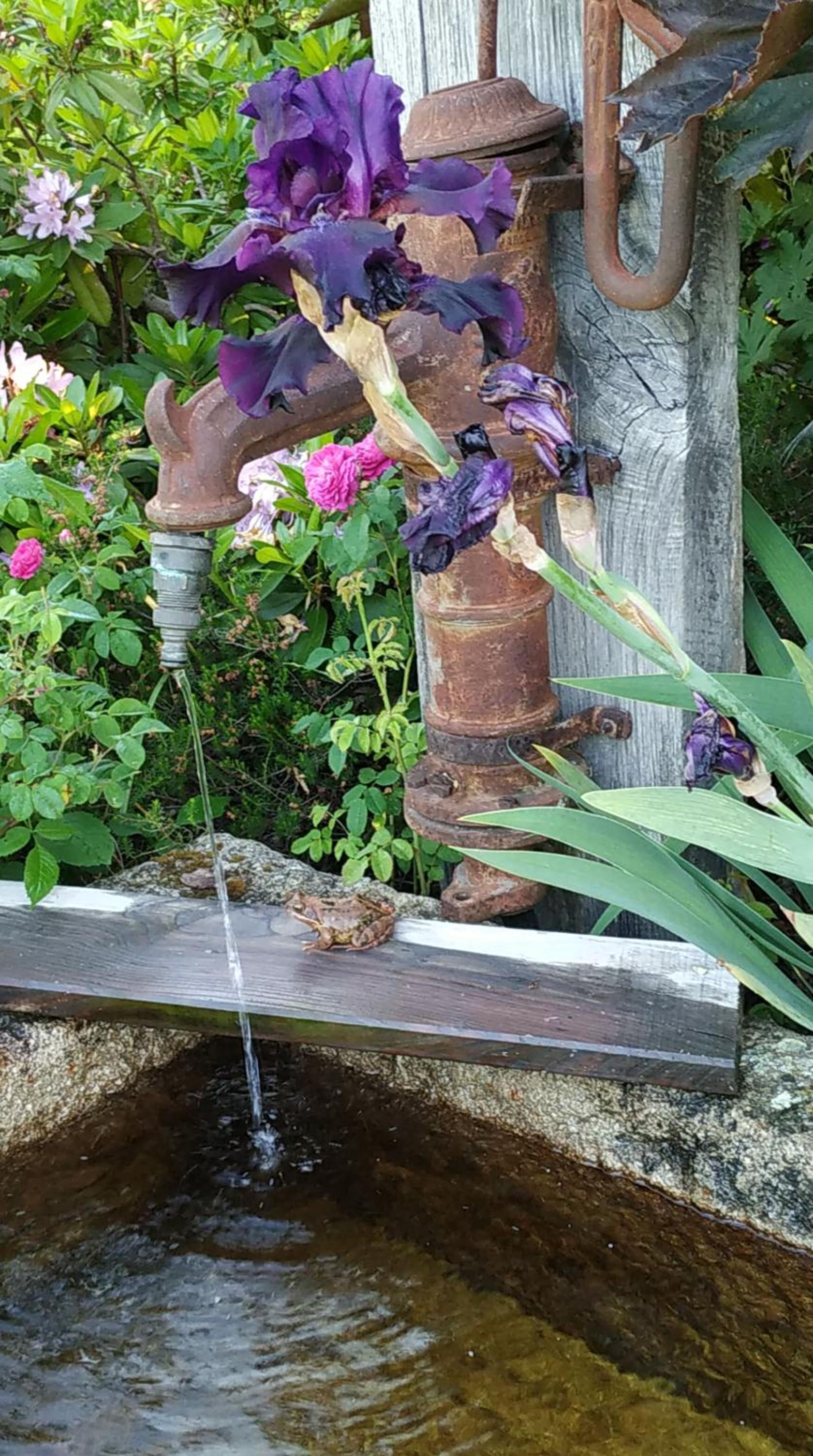 Photo 11